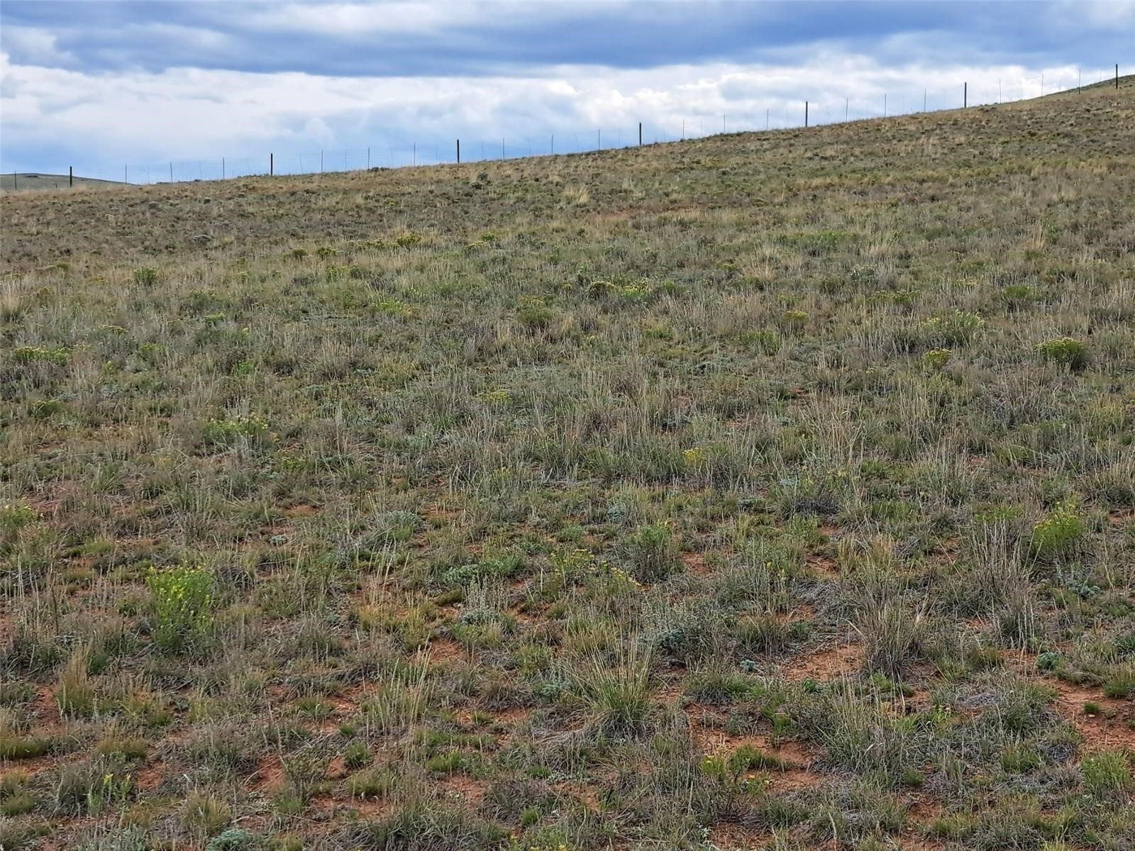 0000 Kiowa Road Hartsel CO 80449