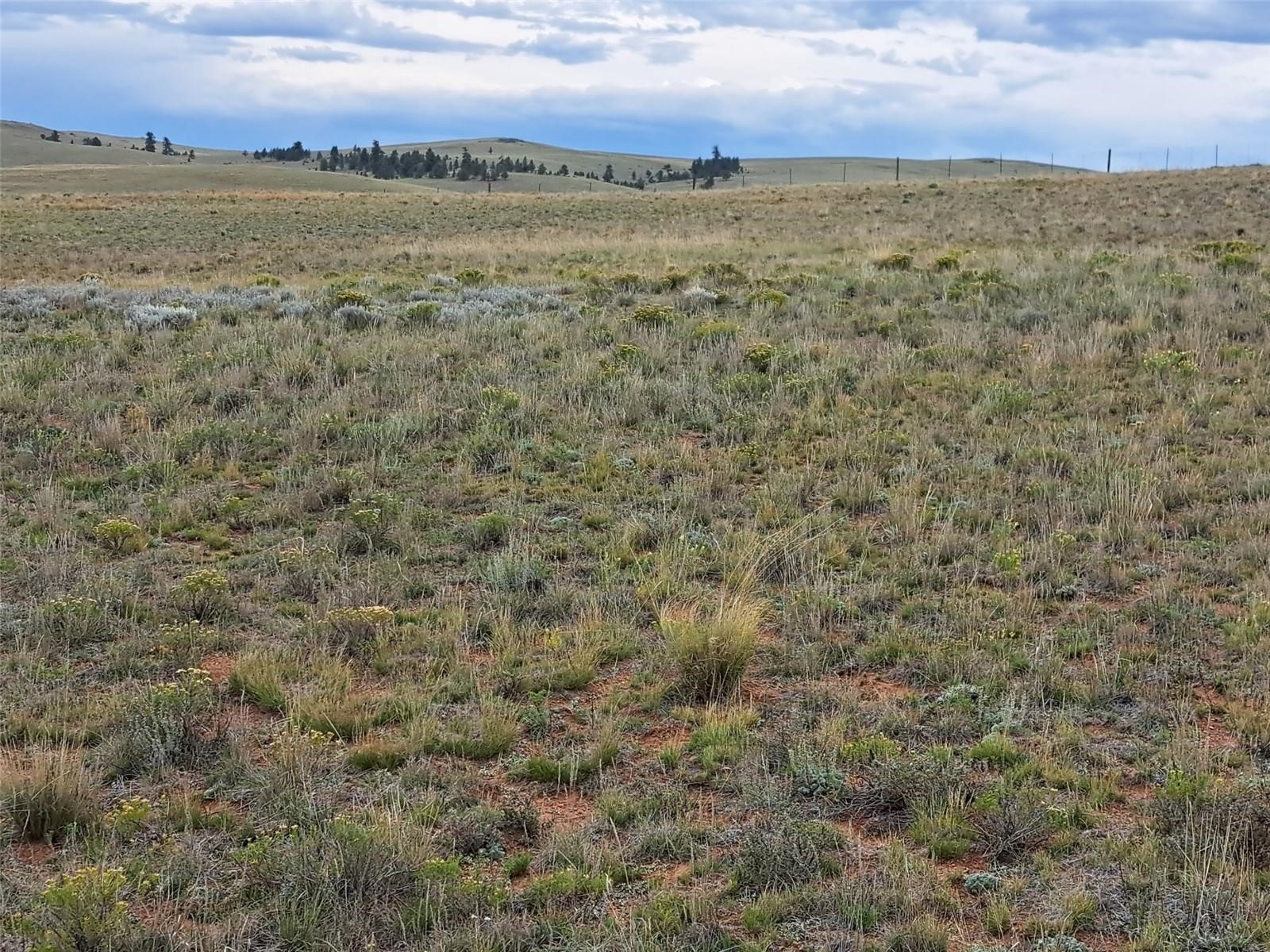 0000 Kiowa Road Hartsel CO 80449
