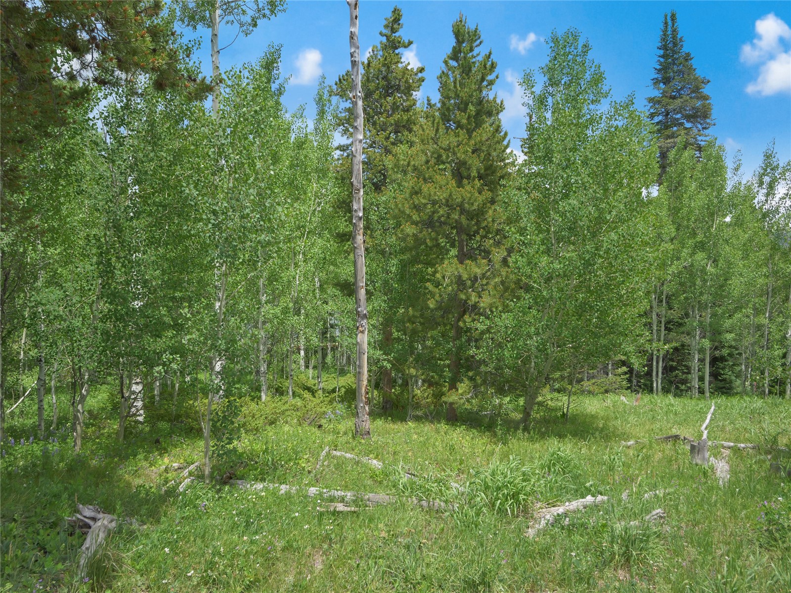 616 Aspen Drive Silverthorne CO 80498