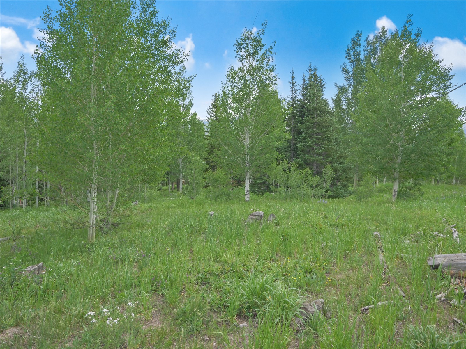 616 Aspen Drive Silverthorne CO 80498