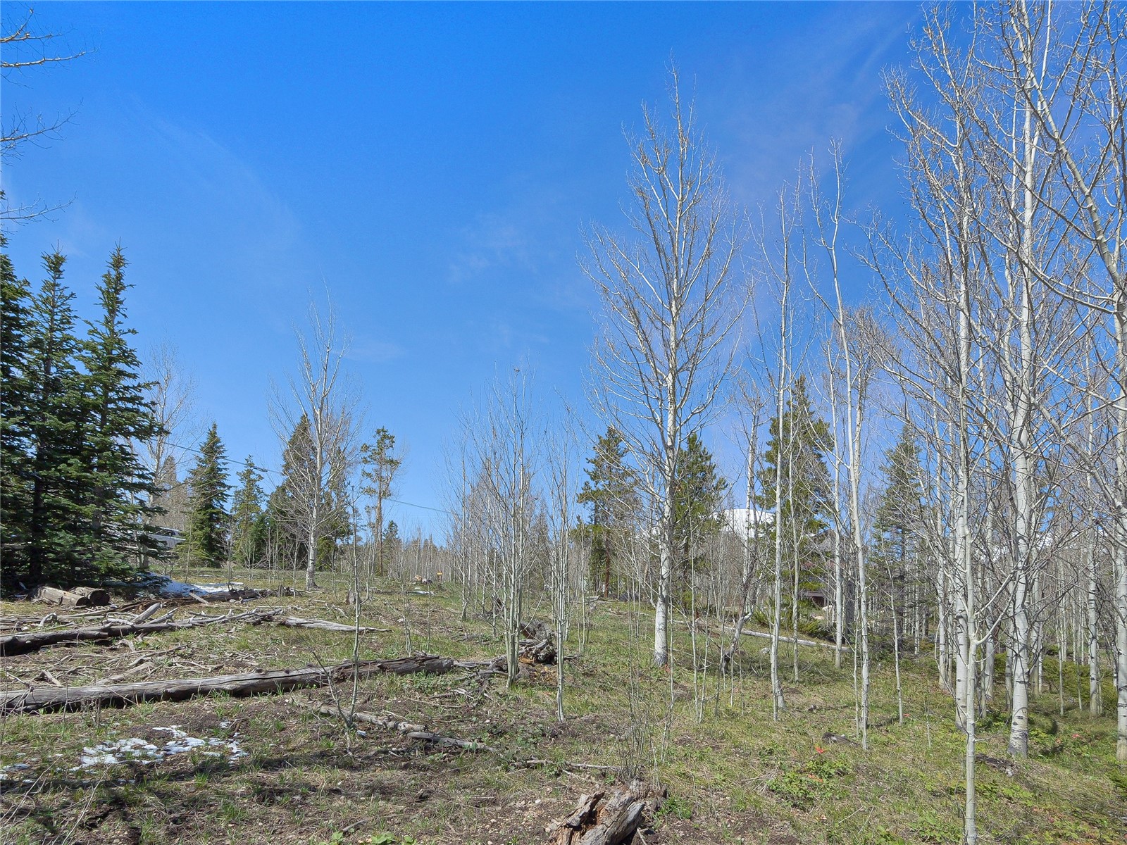 616 Aspen Drive Silverthorne CO 80498