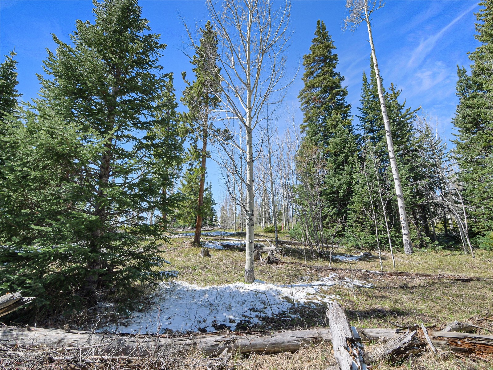 616 Aspen Drive Silverthorne CO 80498