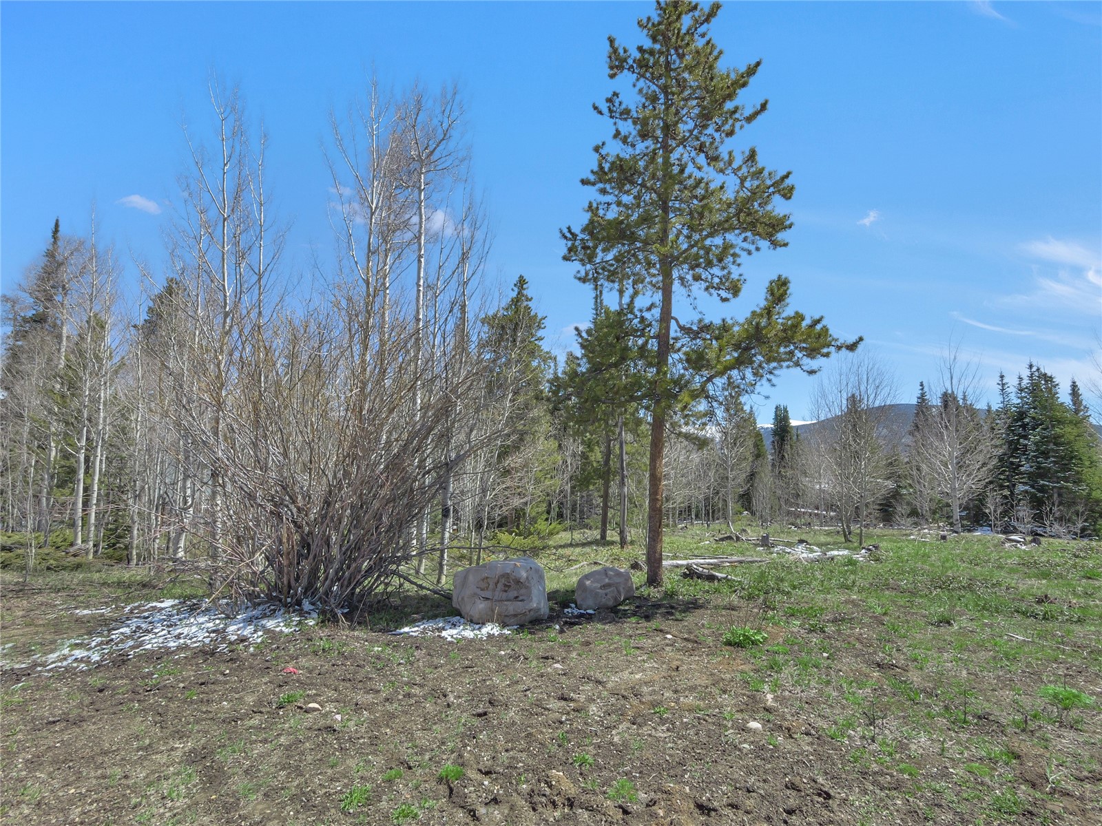 616 Aspen Drive Silverthorne CO 80498