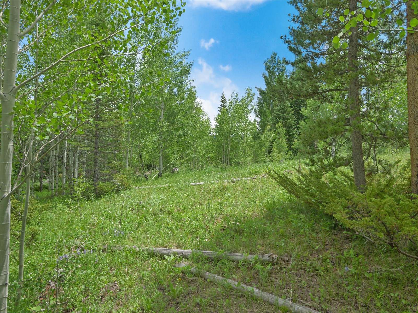 616 Aspen Drive Silverthorne CO 80498