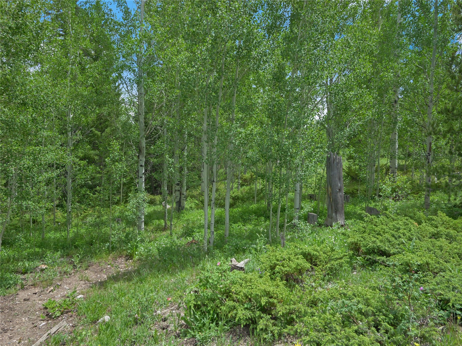 616 Aspen Drive Silverthorne CO 80498