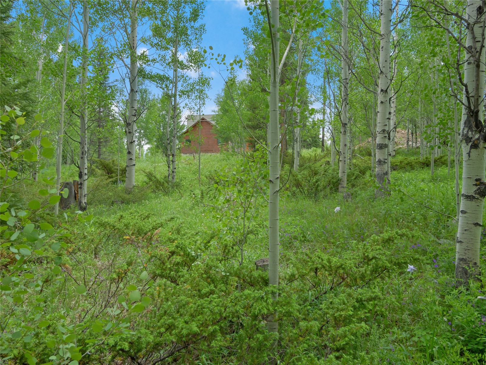 616 Aspen Drive Silverthorne CO 80498