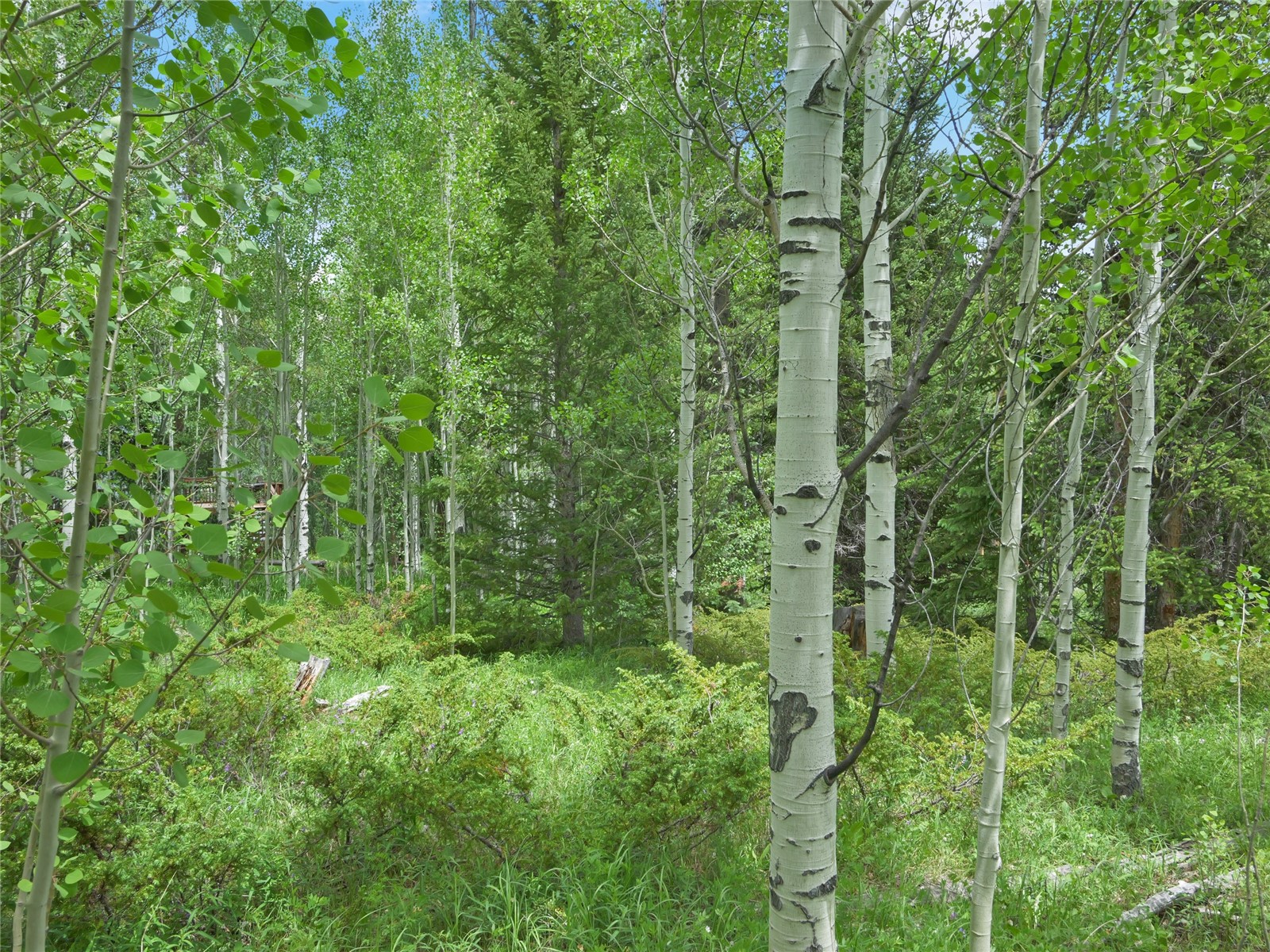 616 Aspen Drive Silverthorne CO 80498