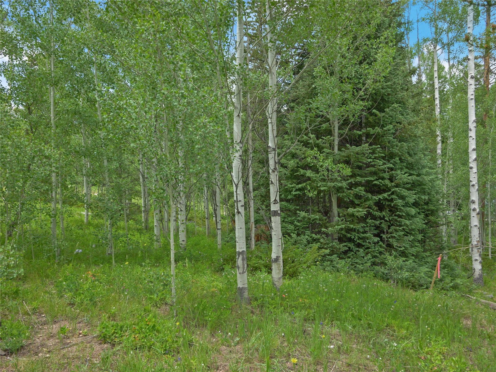 616 Aspen Drive Silverthorne CO 80498
