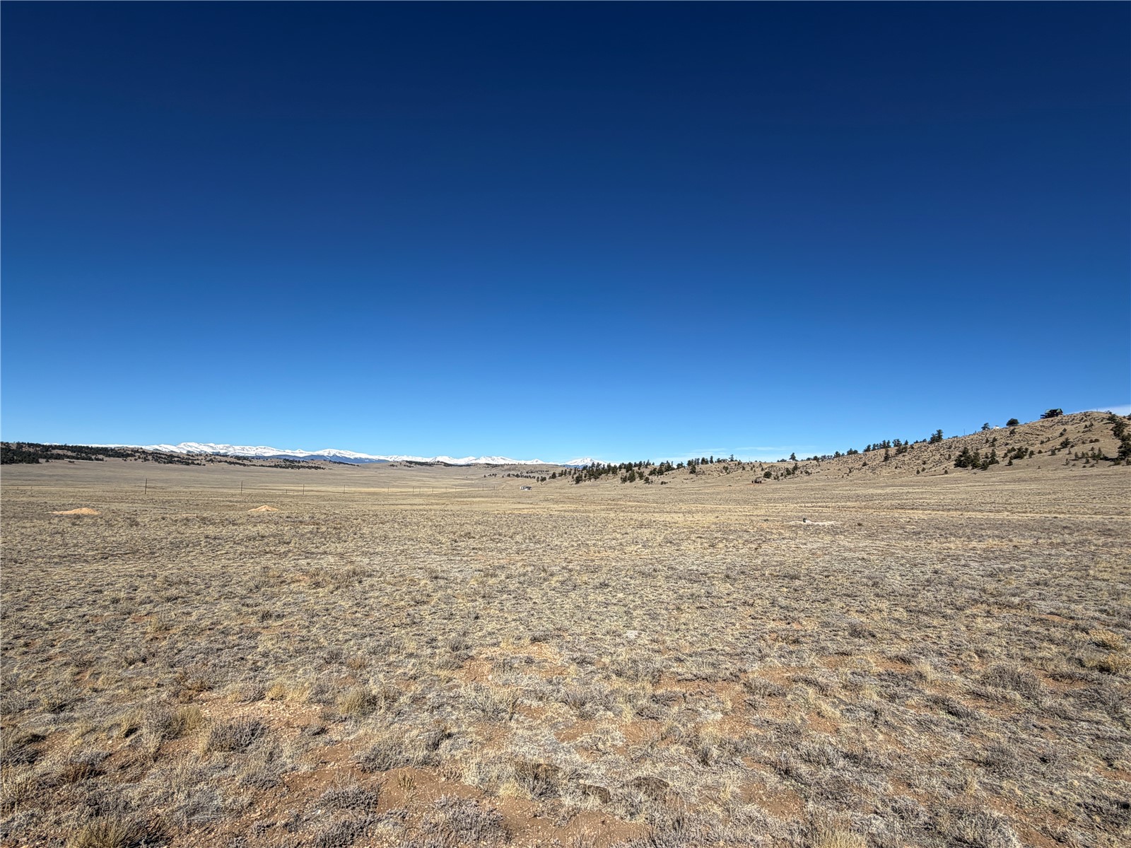 0005 Coyotero Trail Hartsel CO 80449