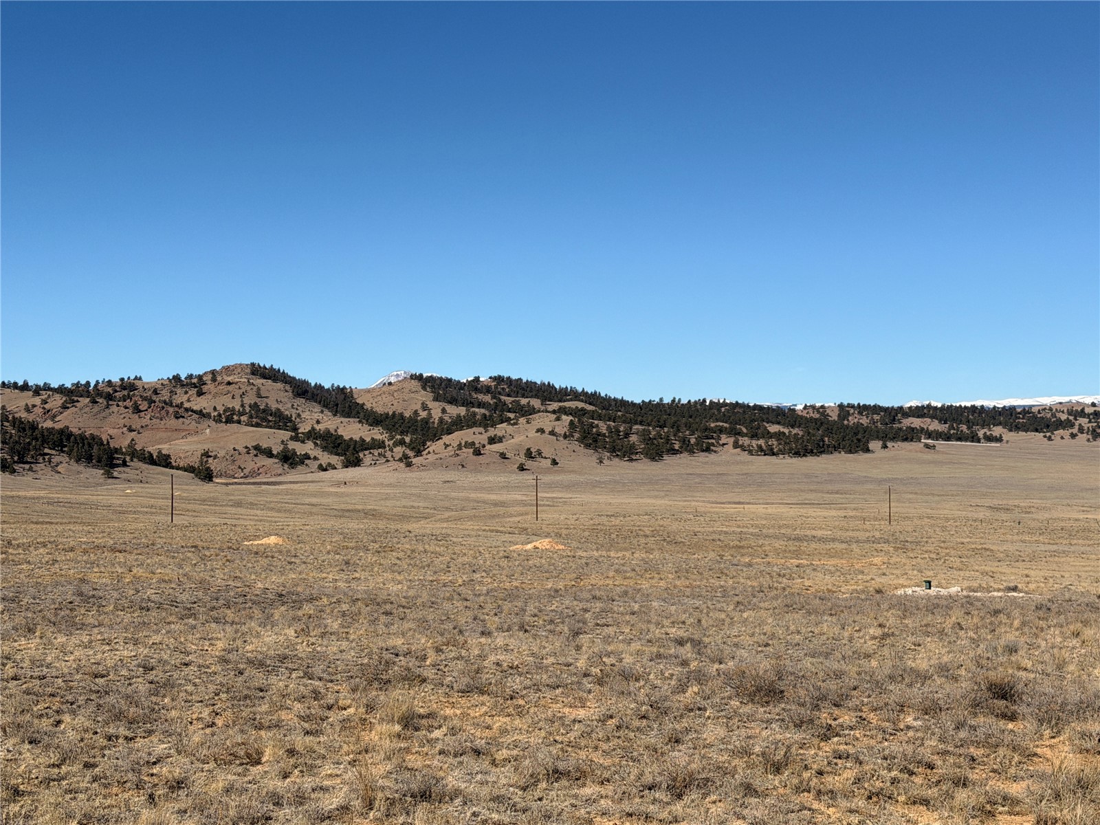 0005 Coyotero Trail Hartsel CO 80449