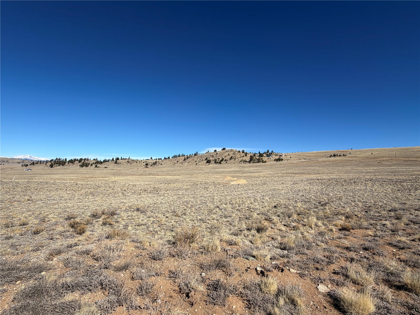 0005 Coyotero Trail Hartsel CO 80449