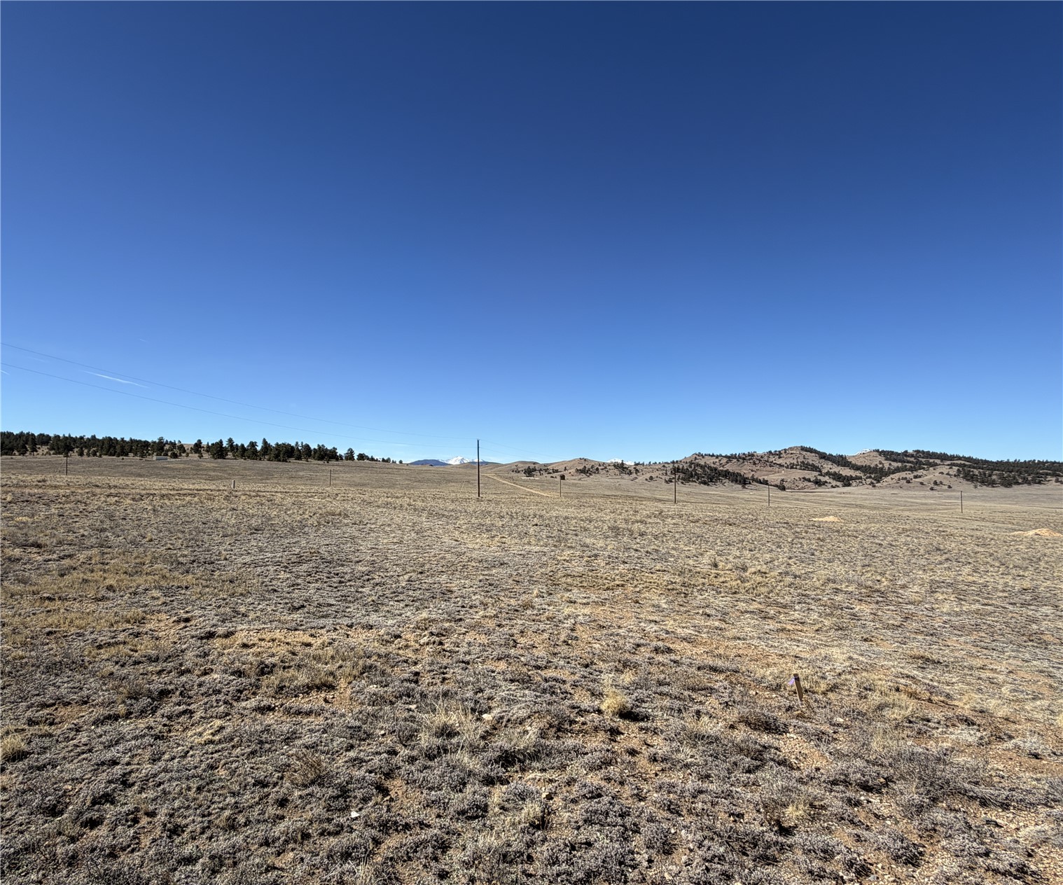 0005 Coyotero Trail Hartsel CO 80449
