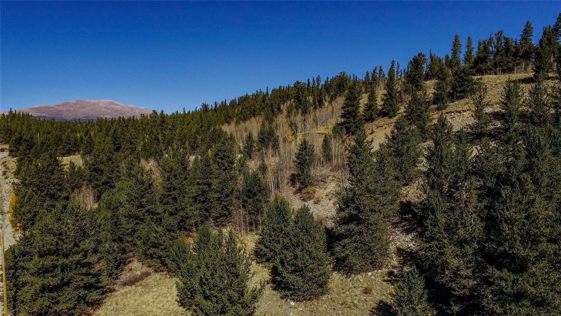 459 Platte River Drive Fairplay CO 80440