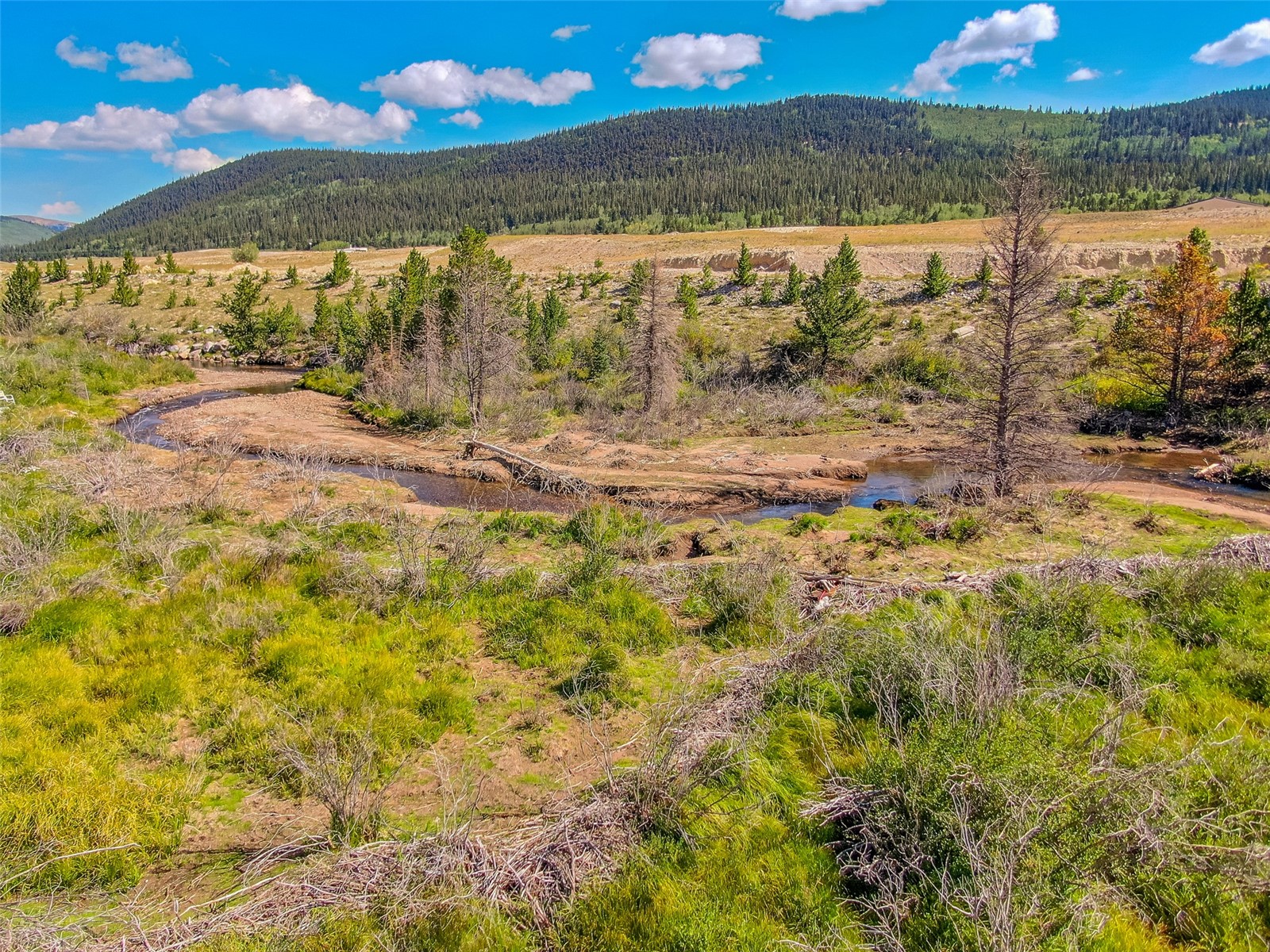Lot 18 Singleton Road Alma CO 80420