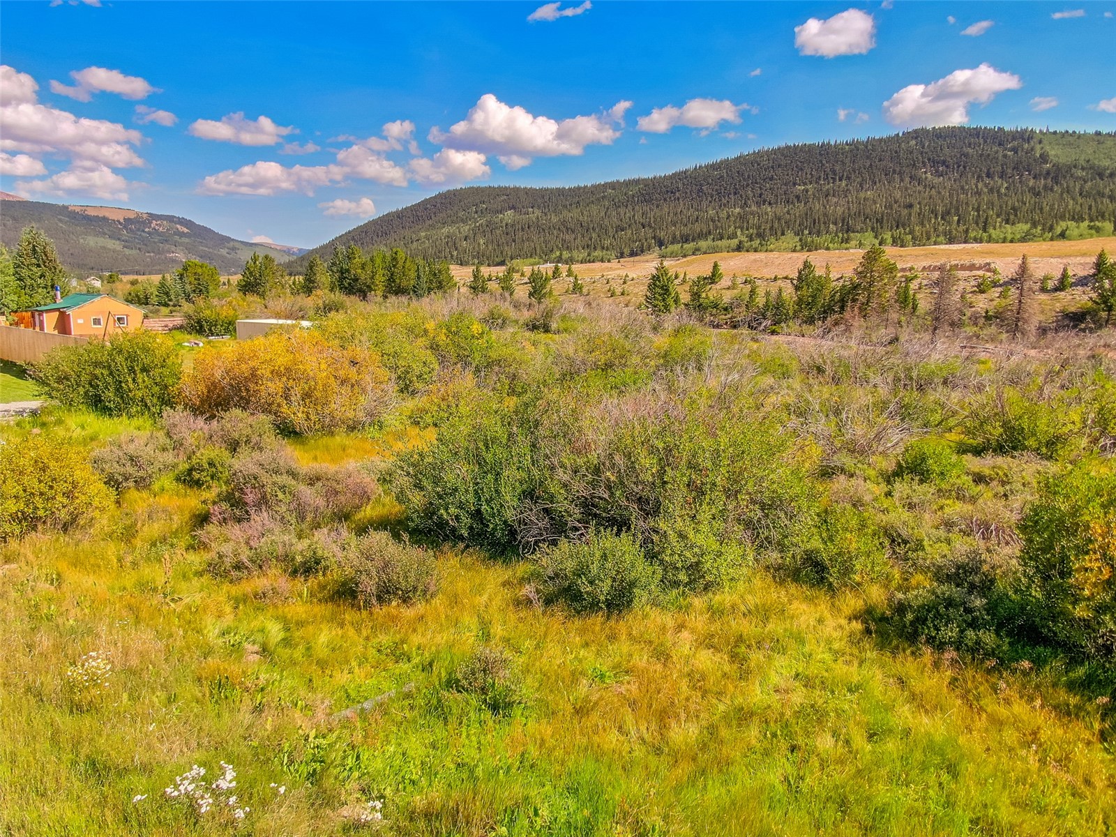 Lot 18 Singleton Road Alma CO 80420