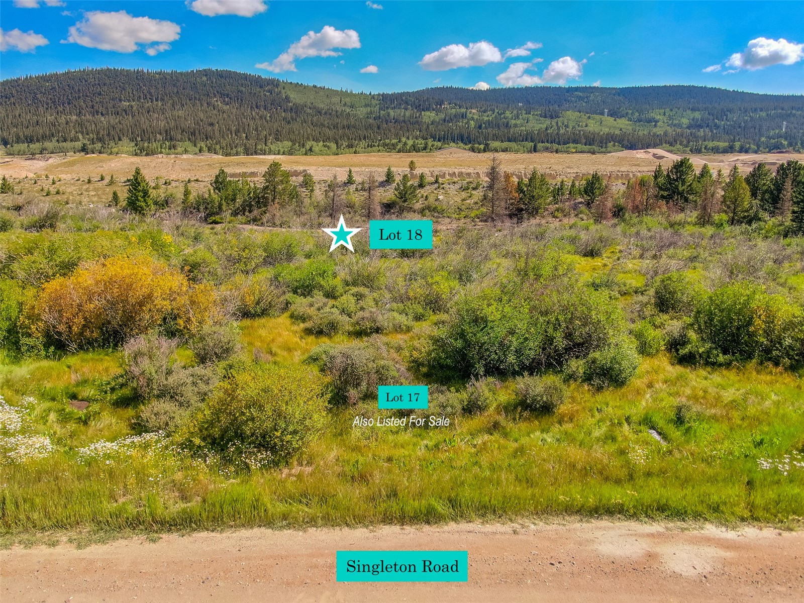 Lot 18 Singleton Road Alma CO 80420