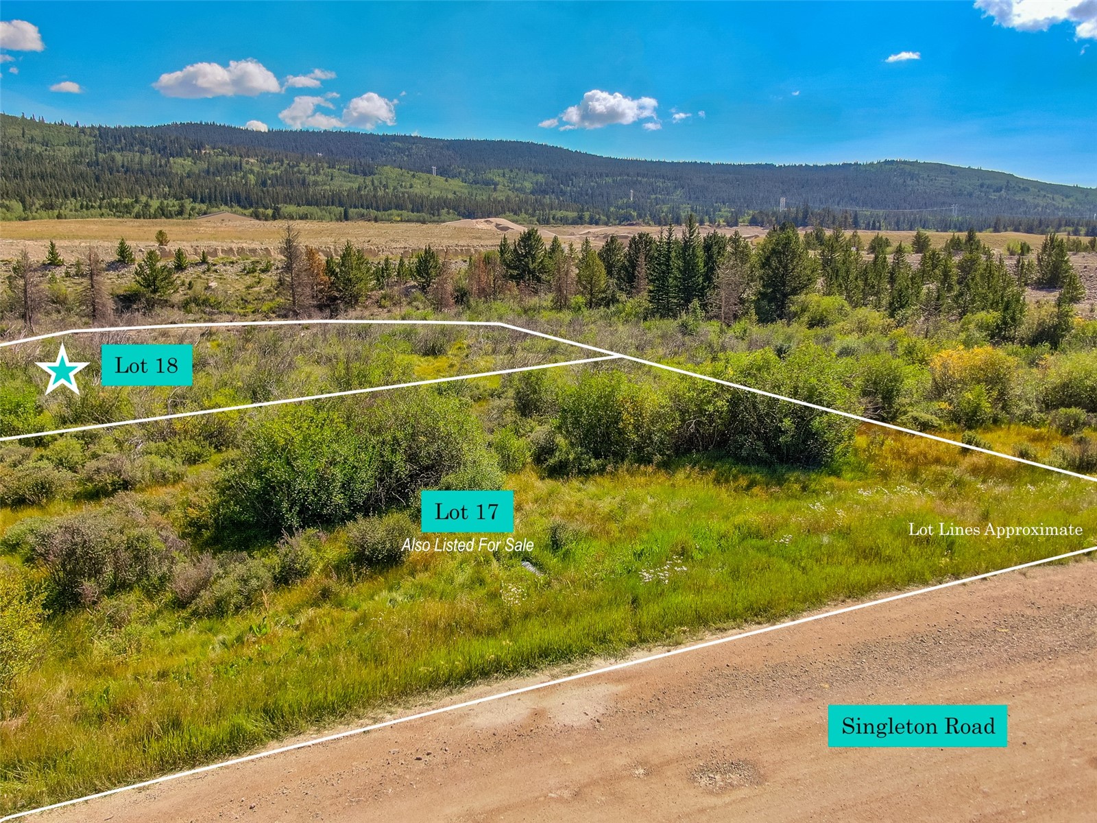 Lot 18 Singleton Road Alma CO 80420