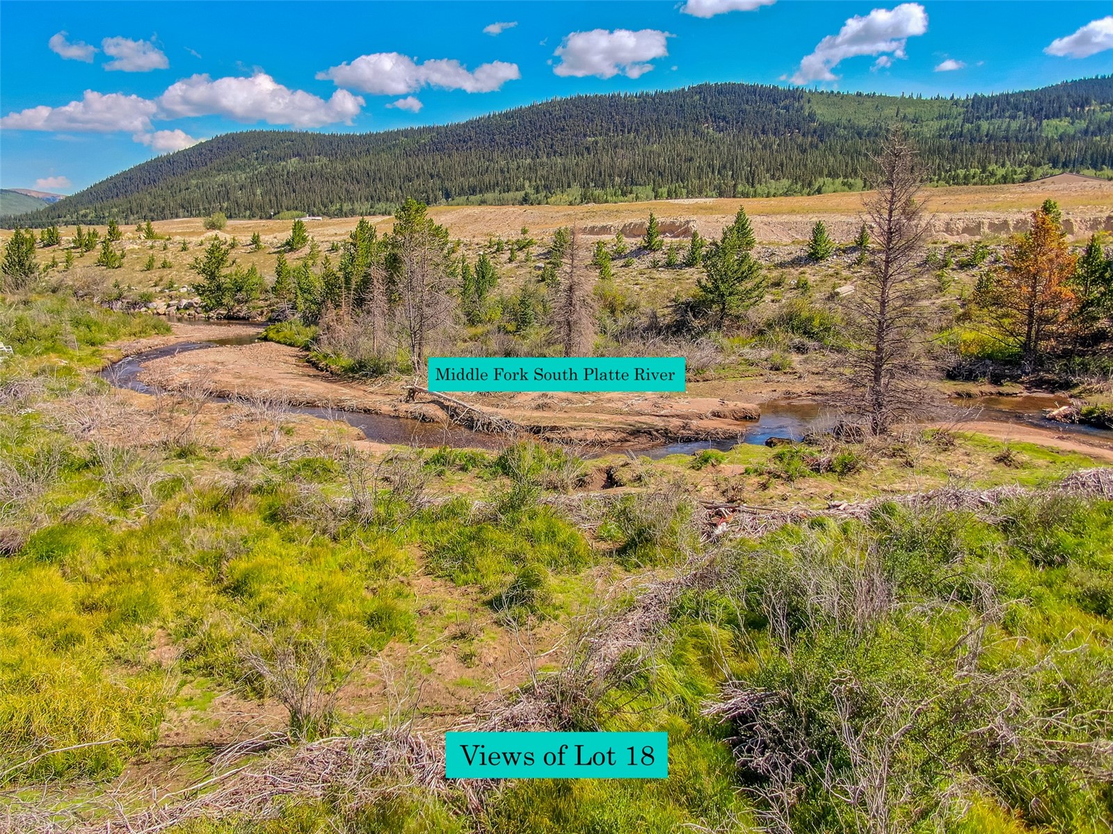 Lot 18 Singleton Road Alma CO 80420