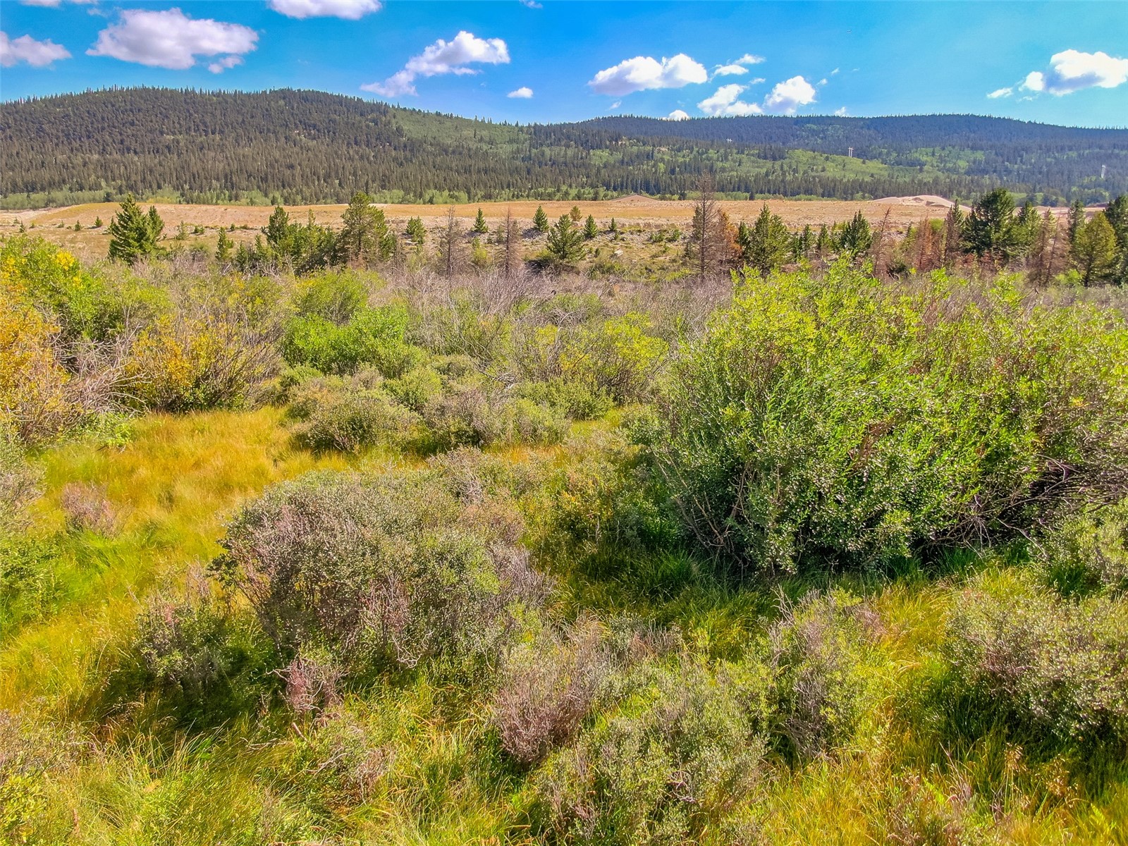 Lot 18 Singleton Road Alma CO 80420