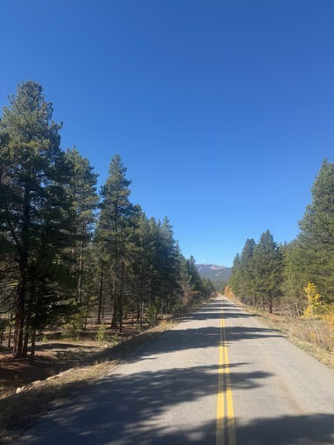 1541 Mountain View Drive Leadville CO 80461