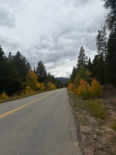 1541 Mountain View Drive Leadville CO 80461