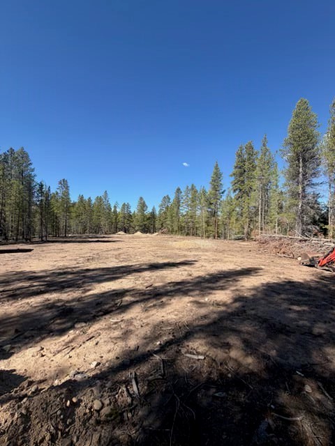 1541 Mountain View Drive Leadville CO 80461