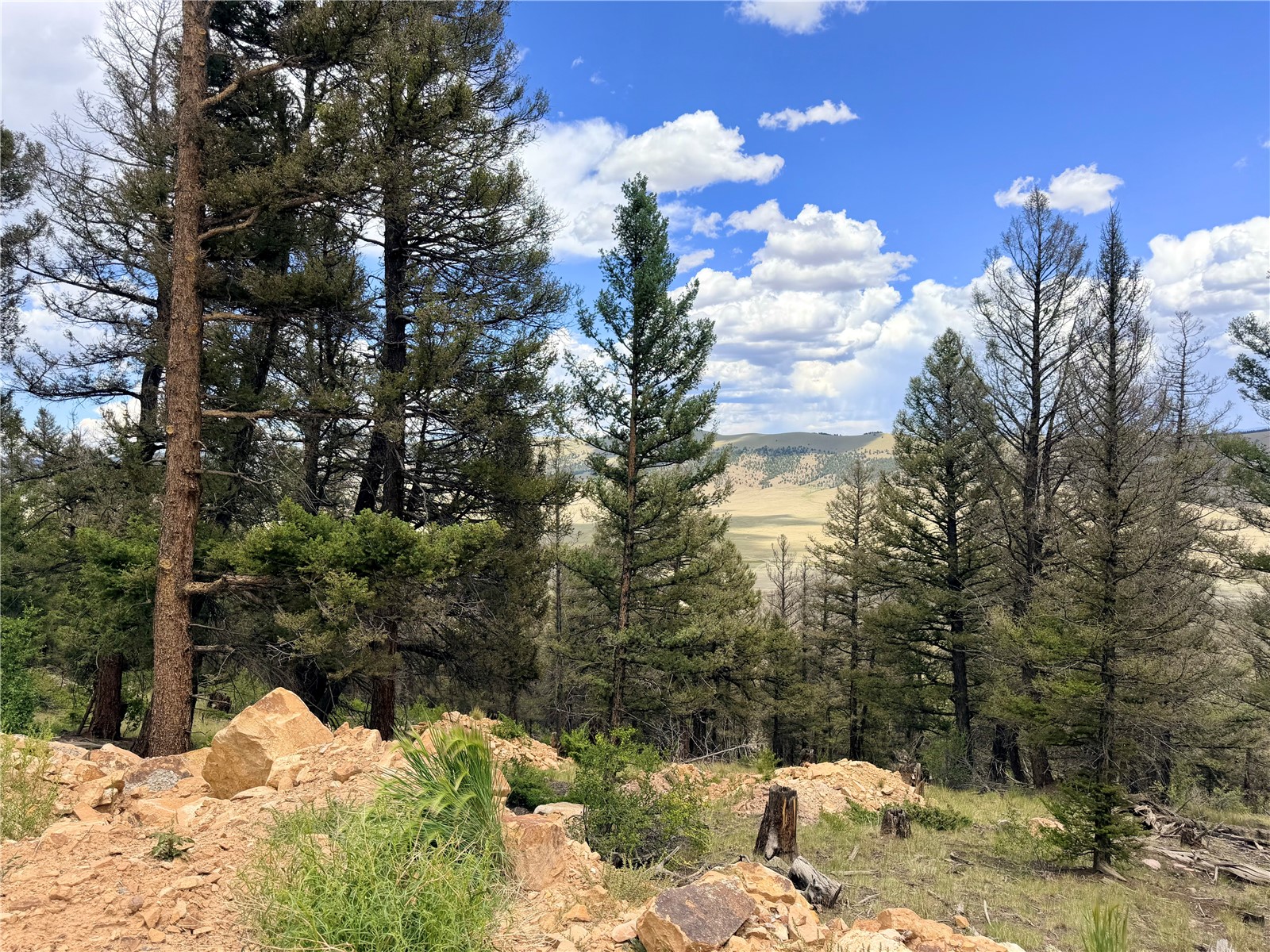1396 Middle Fork Fairplay CO 80440
