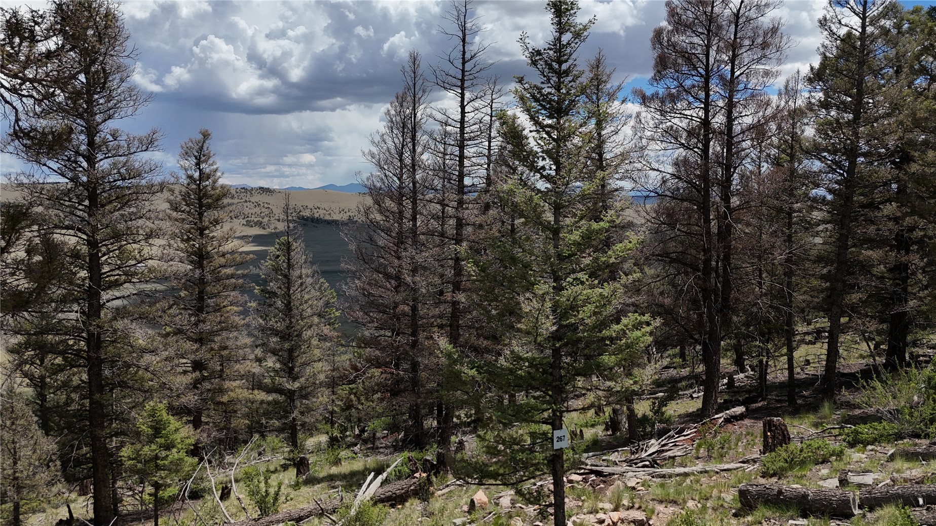 1396 Middle Fork Fairplay CO 80440