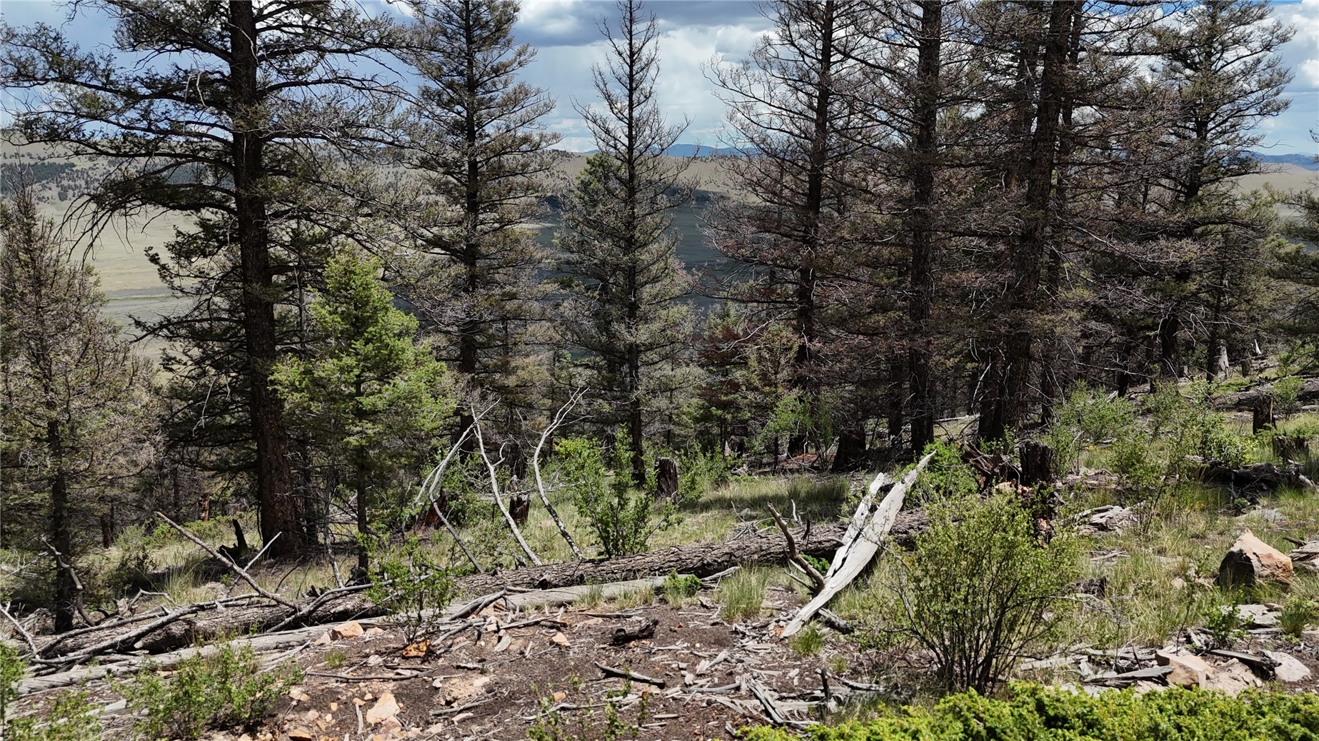 1396 Middle Fork Fairplay CO 80440