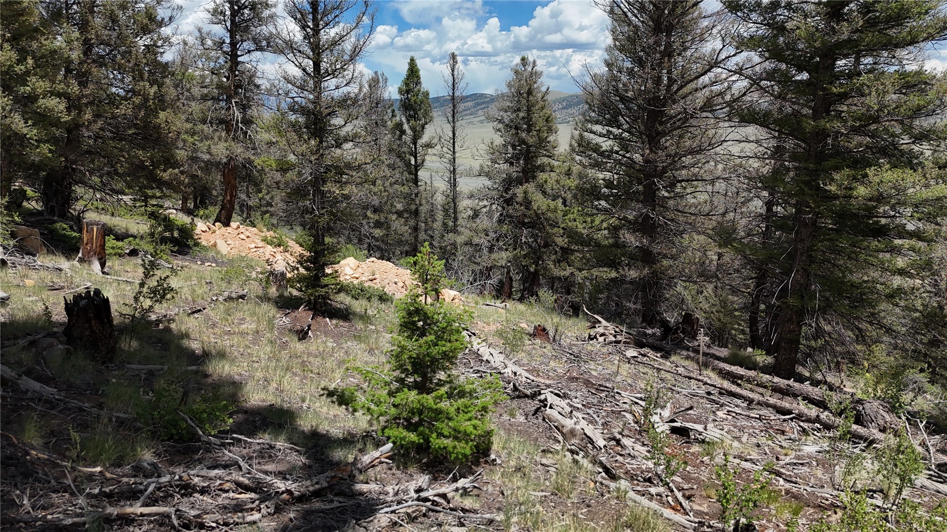 1396 Middle Fork Fairplay CO 80440