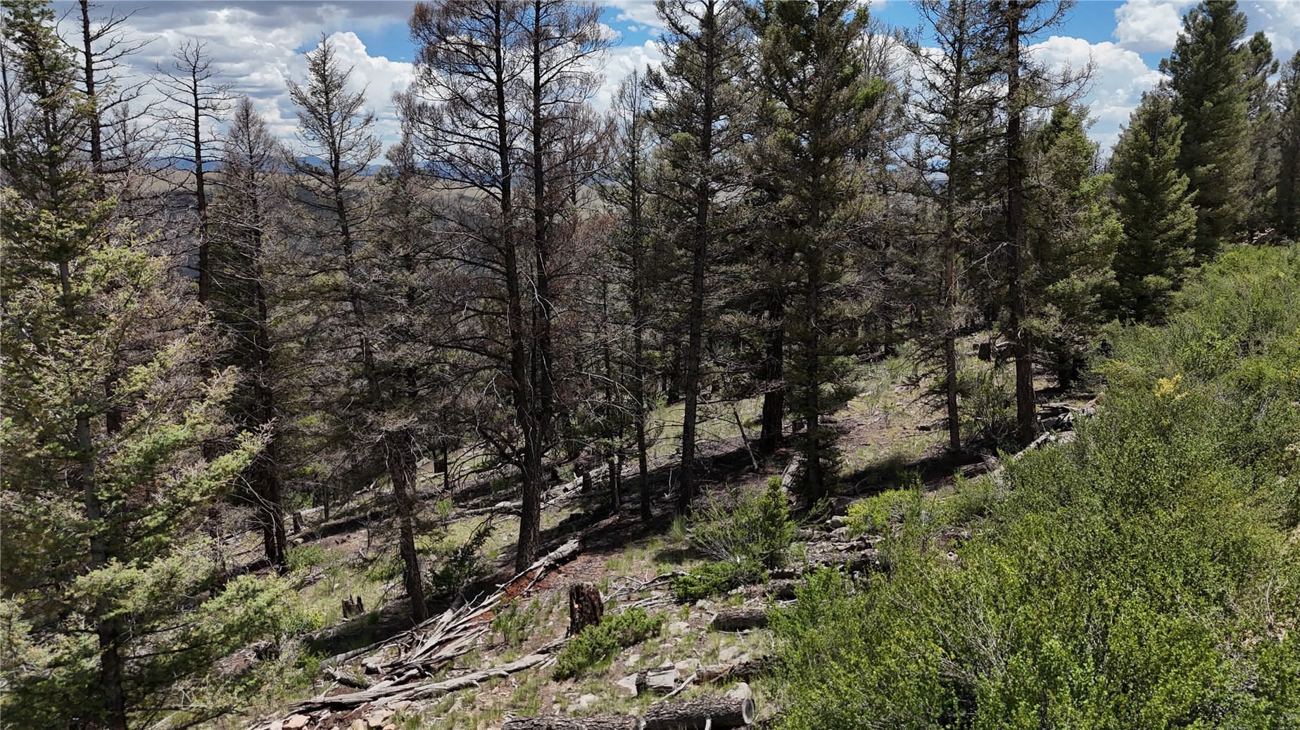1396 Middle Fork Fairplay CO 80440