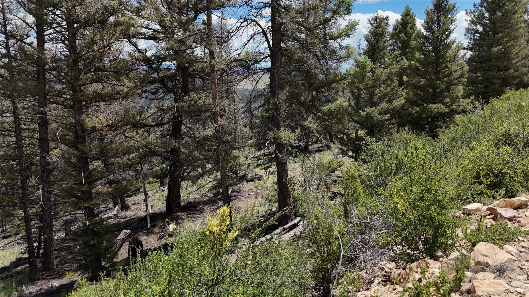 1396 Middle Fork Fairplay CO 80440