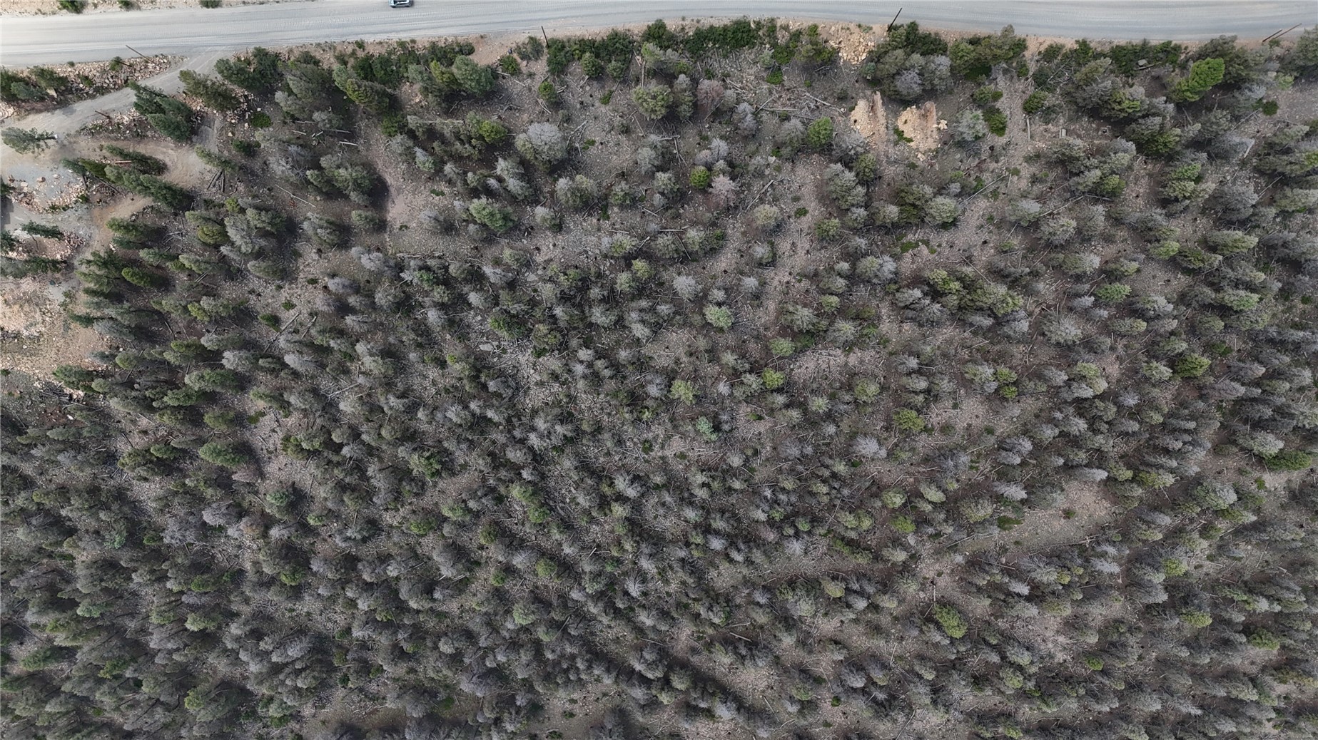 1396 Middle Fork Fairplay CO 80440