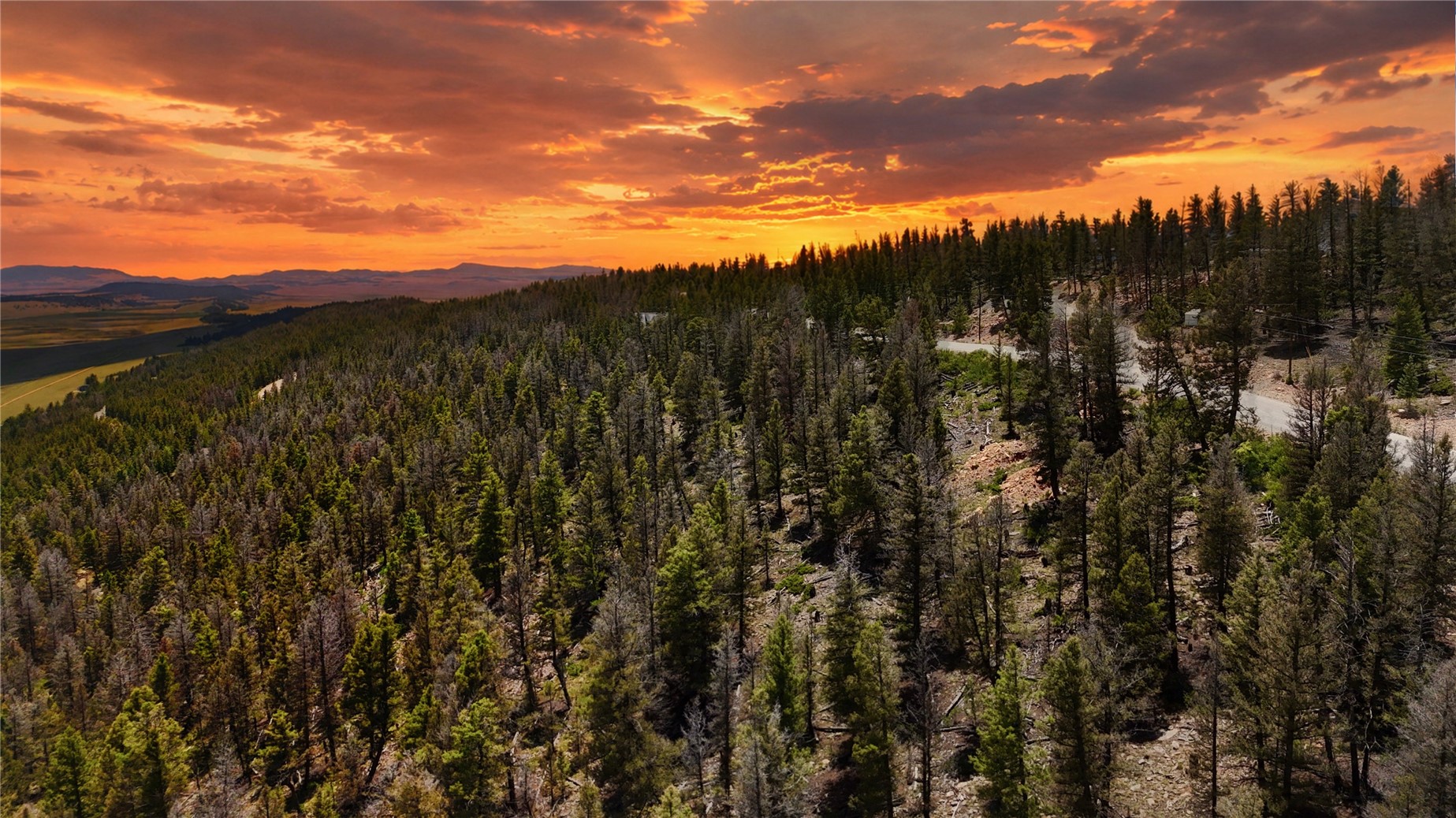 1396 Middle Fork Fairplay CO 80440