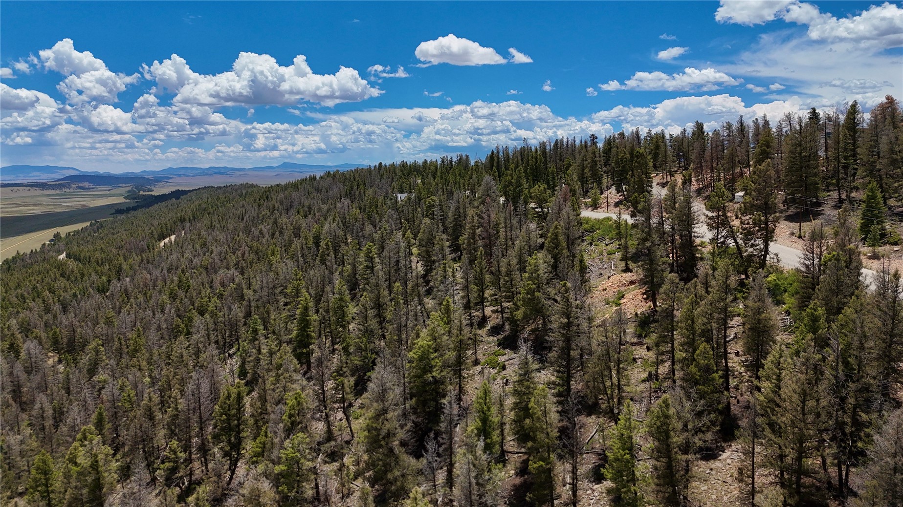 1396 Middle Fork Fairplay CO 80440