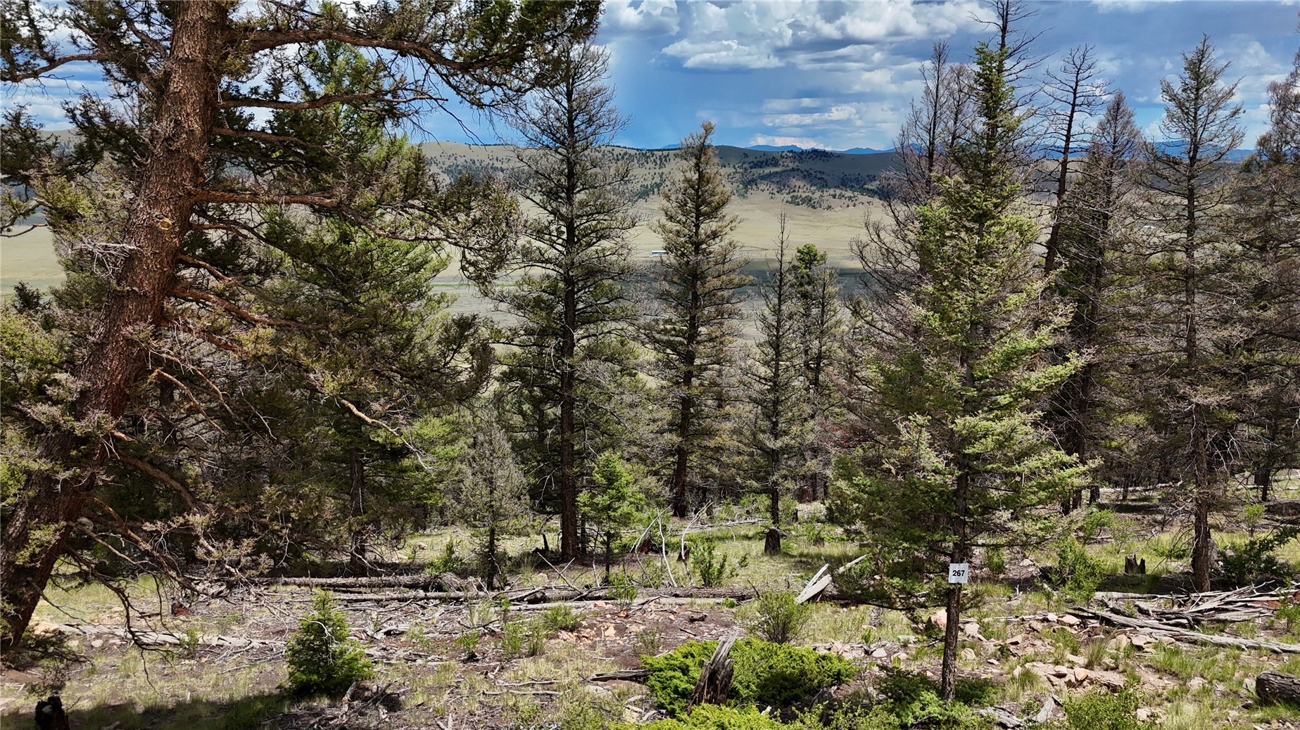 1396 Middle Fork Fairplay CO 80440