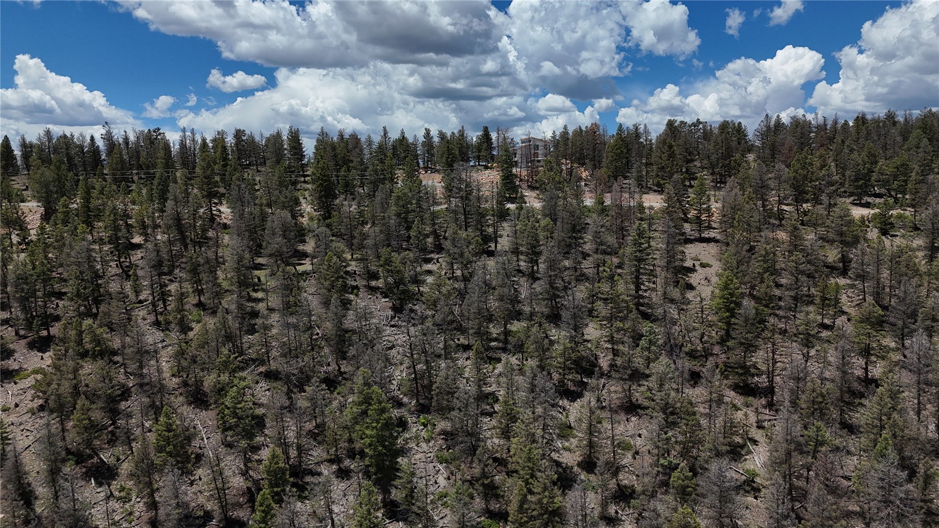 1396 Middle Fork Fairplay CO 80440