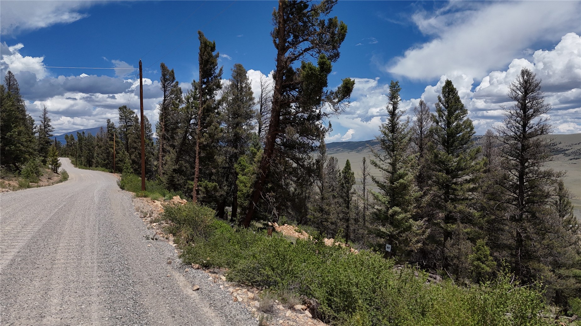 1396 Middle Fork Fairplay CO 80440