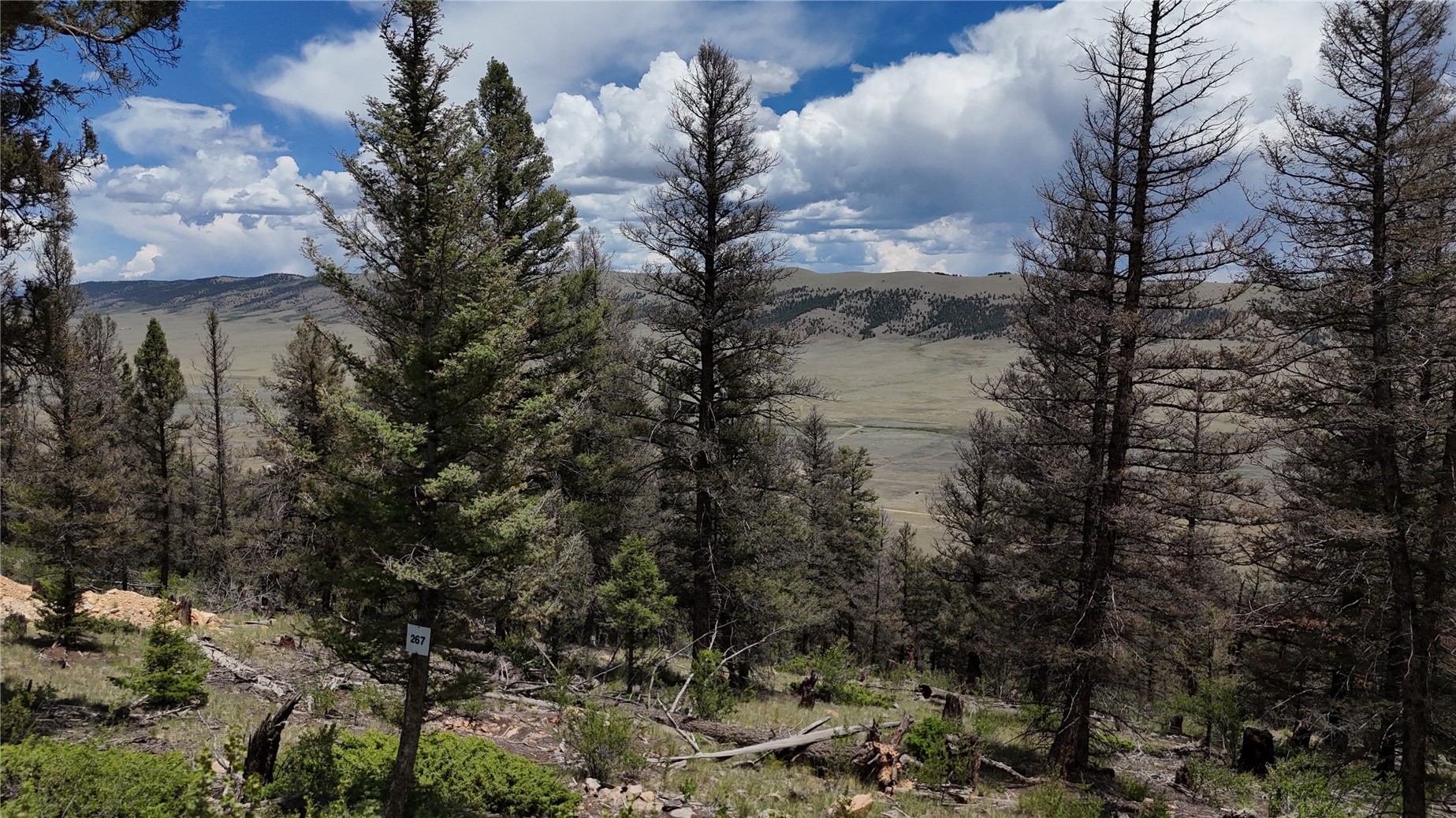 1396 Middle Fork Fairplay CO 80440