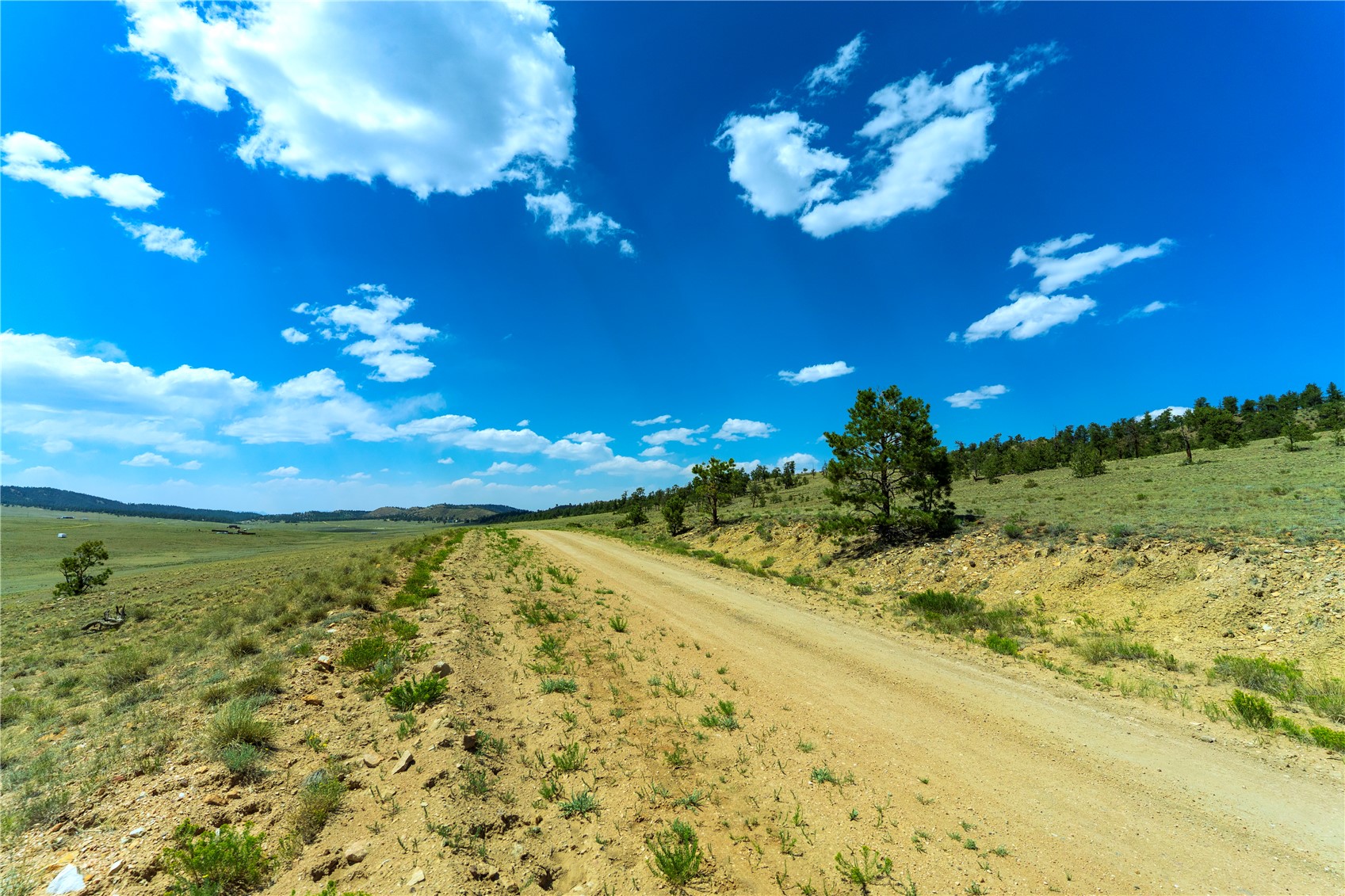 1408 Larimer Drive Hartsel CO 80449