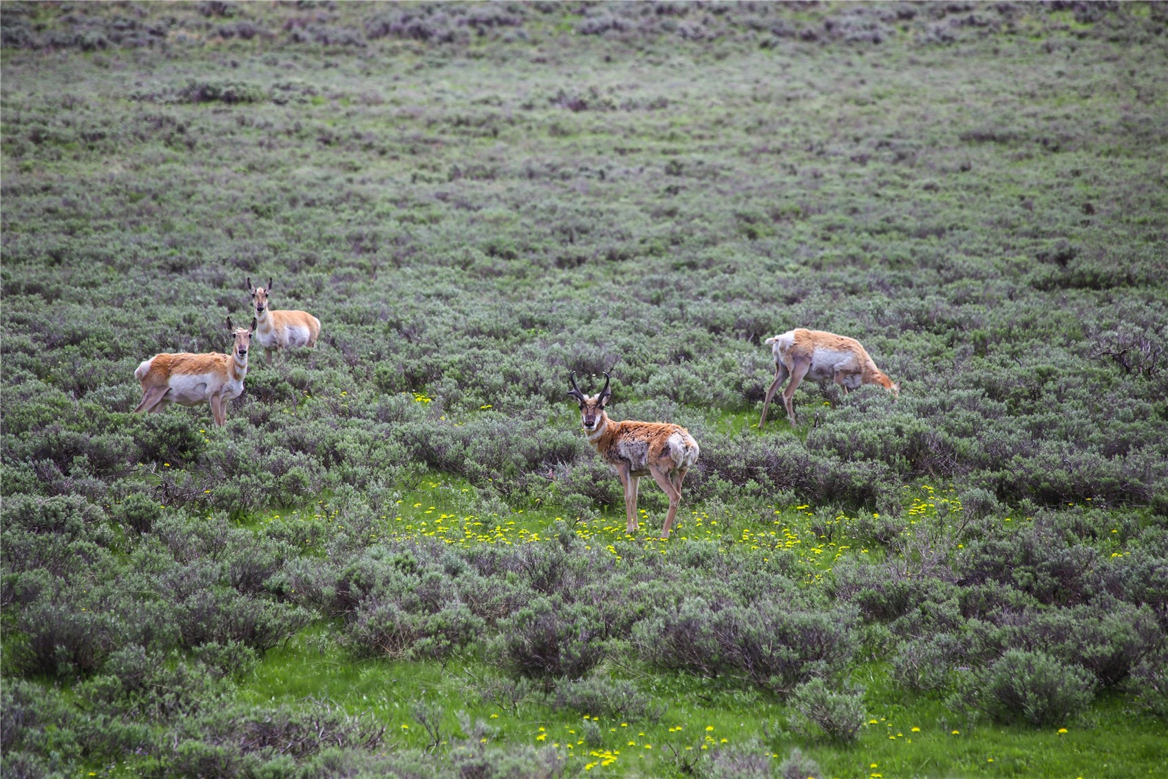 Tbd County Road 225 Toponas CO 80479