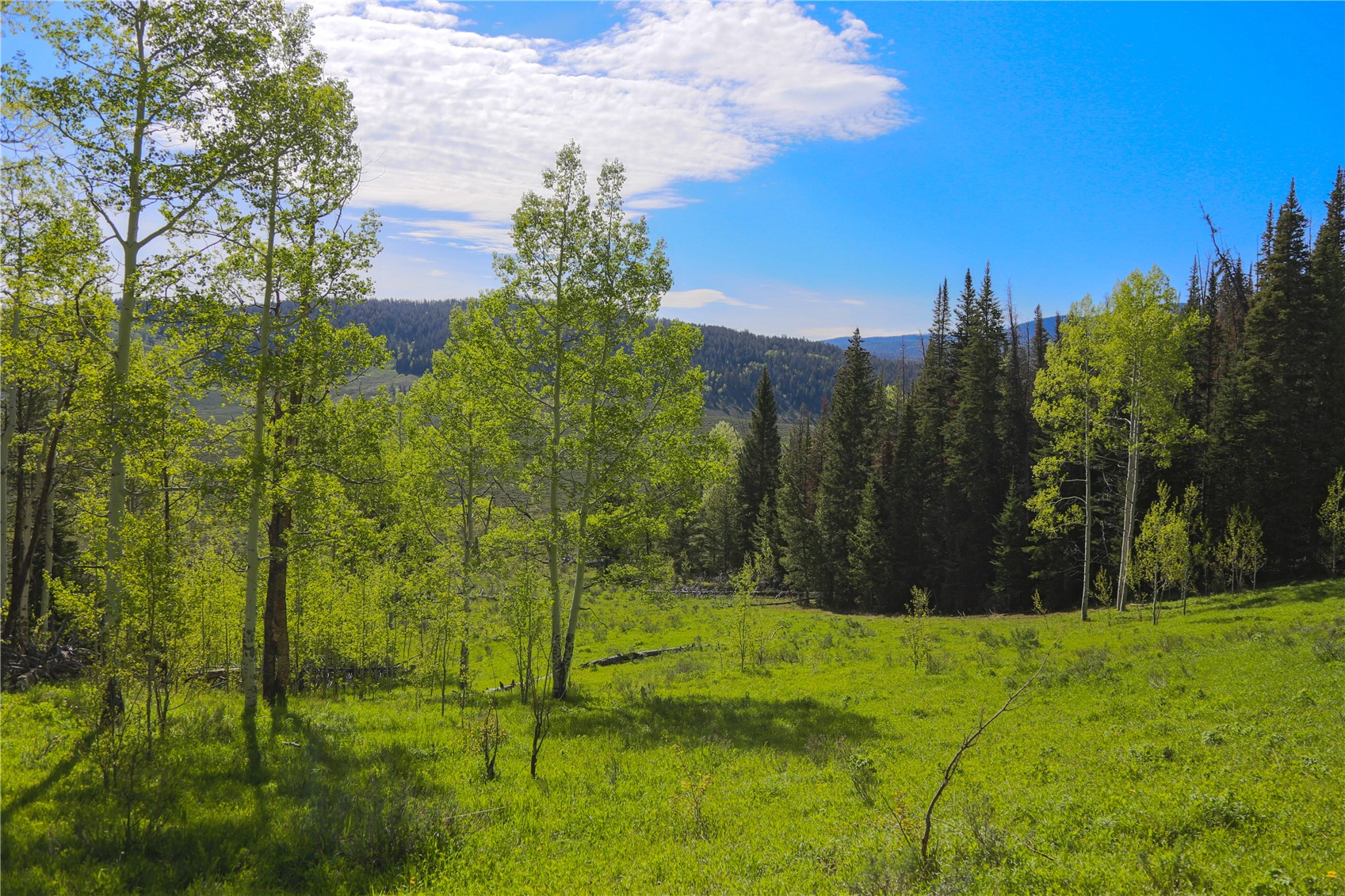 Tbd County Road 225 Toponas CO 80479