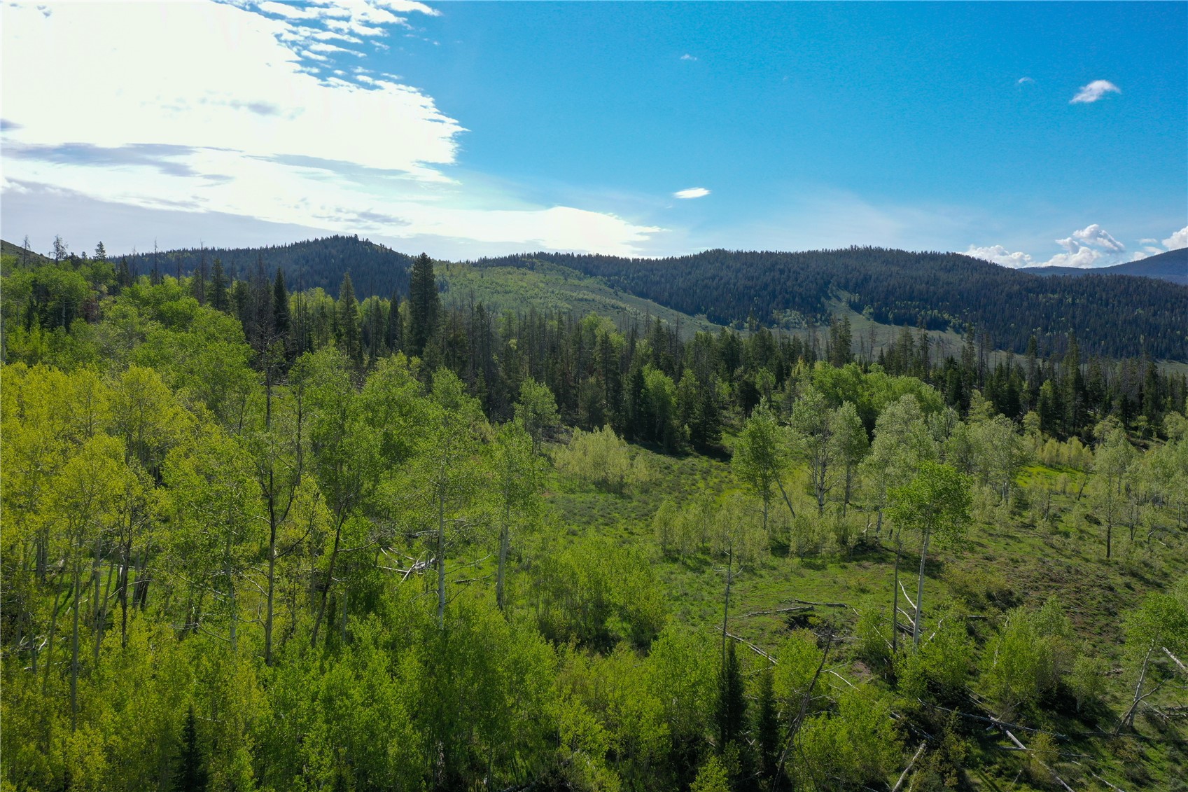 Tbd County Road 225 Toponas CO 80479