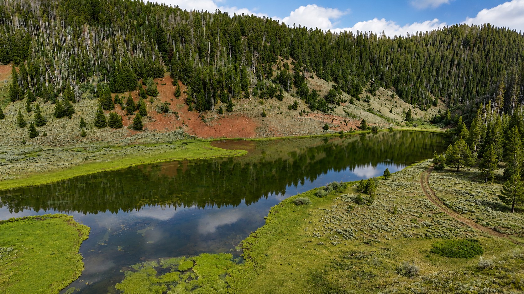 Tbd County Road 225 Toponas CO 80479