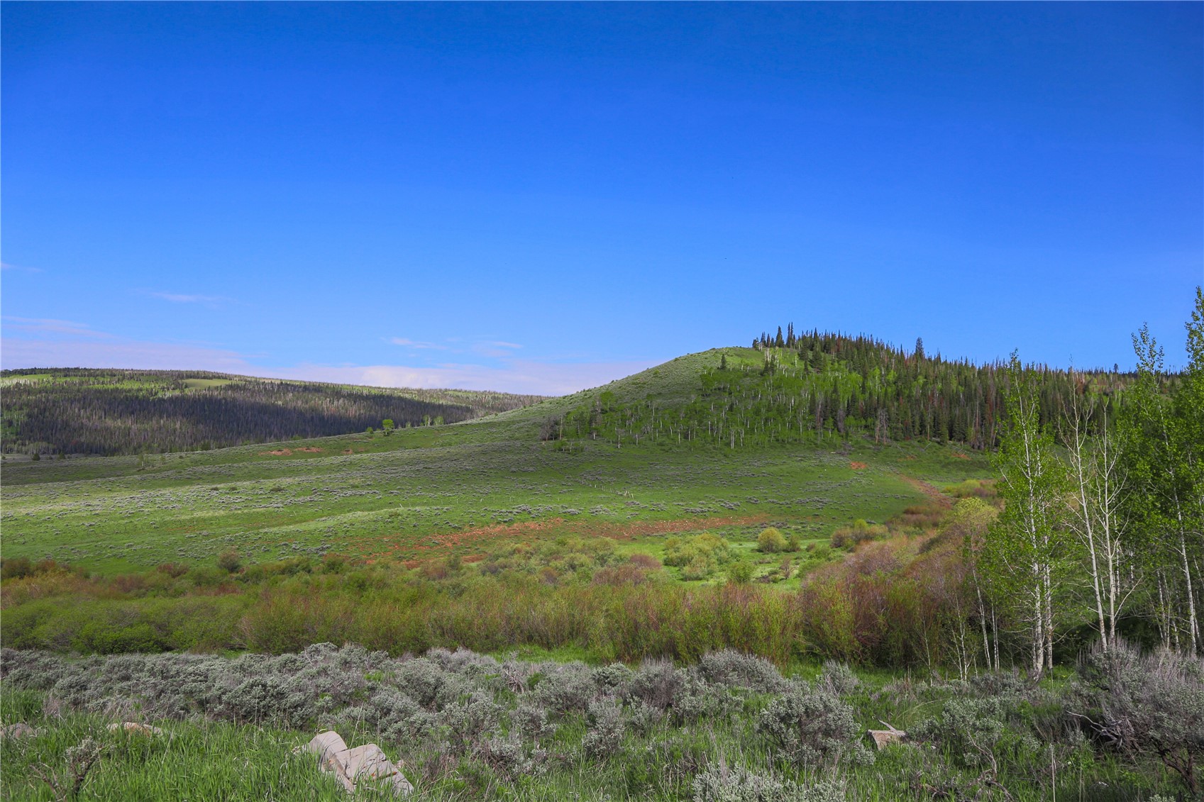 Tbd County Road 225 Toponas CO 80479