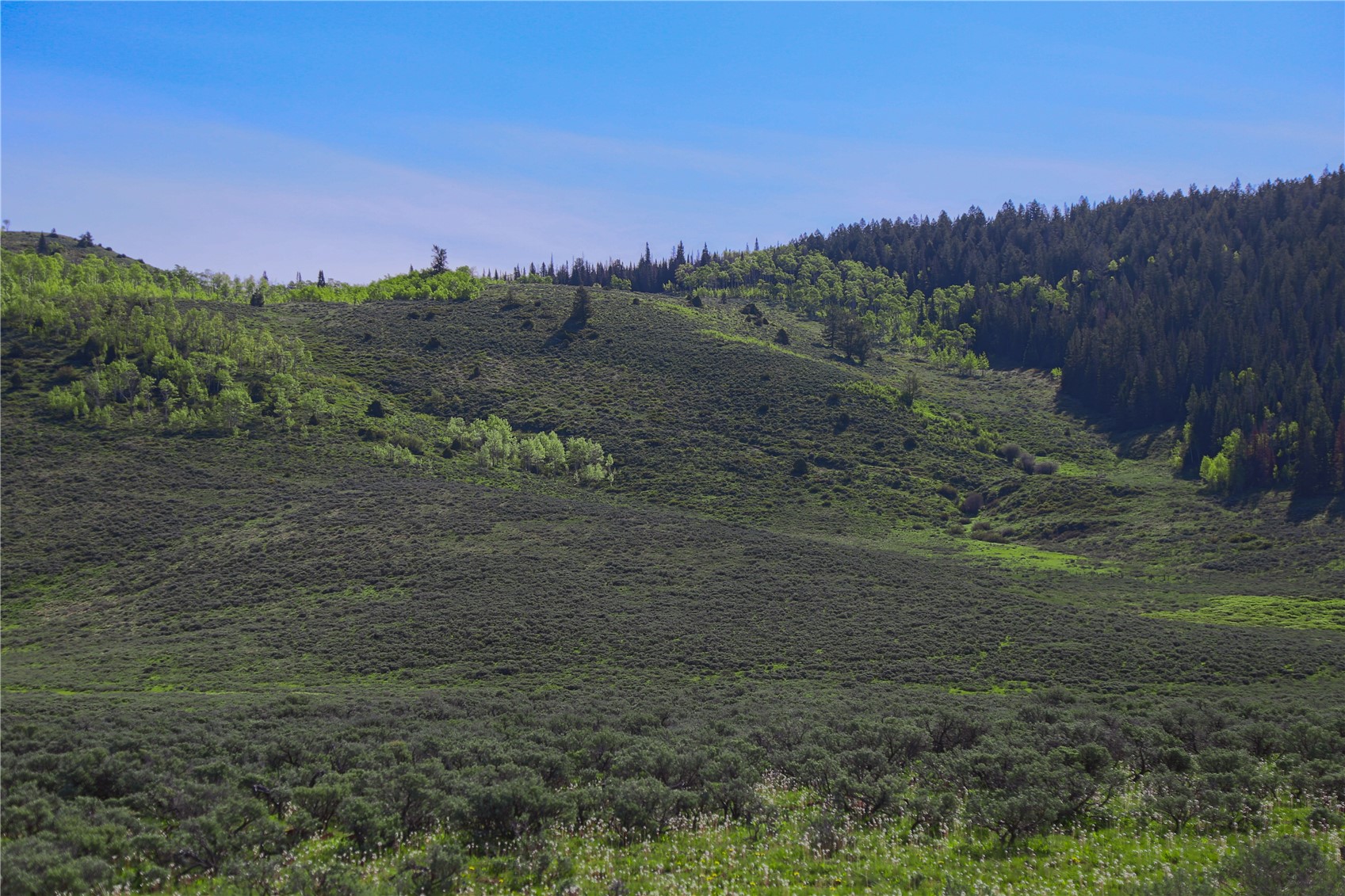 Tbd County Road 225 Toponas CO 80479
