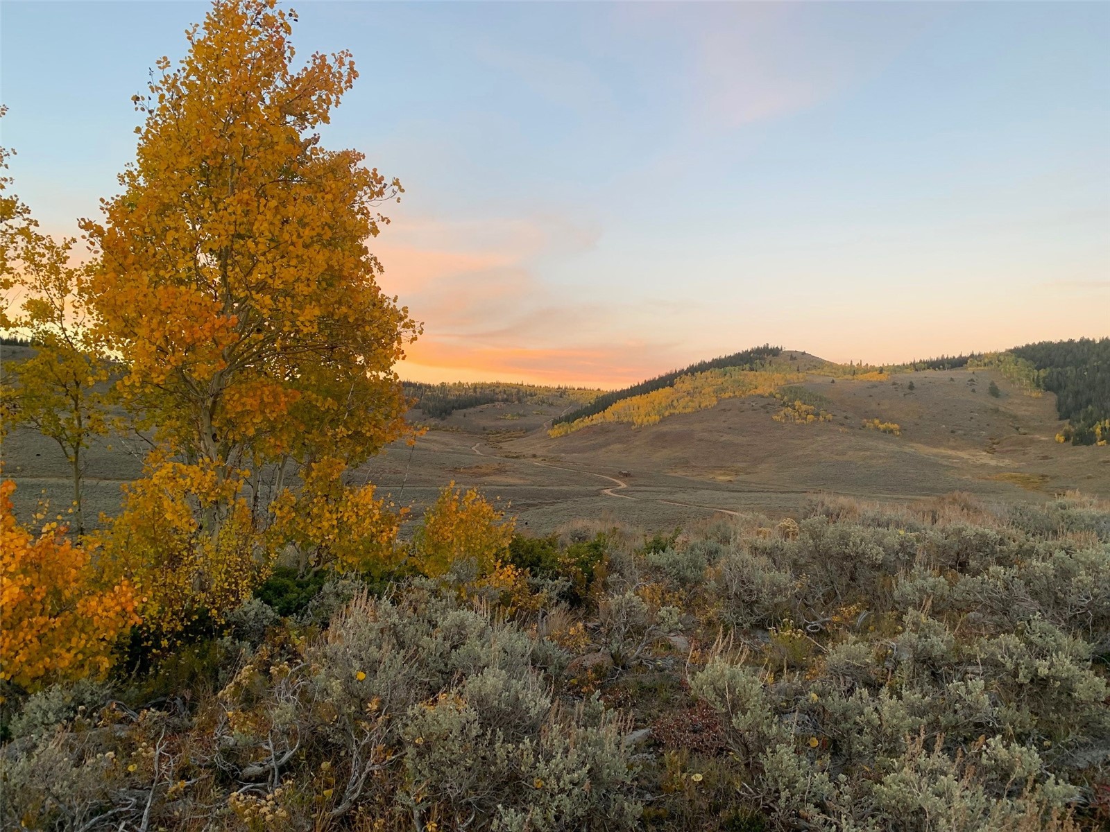 Tbd County Road 225 Toponas CO 80479