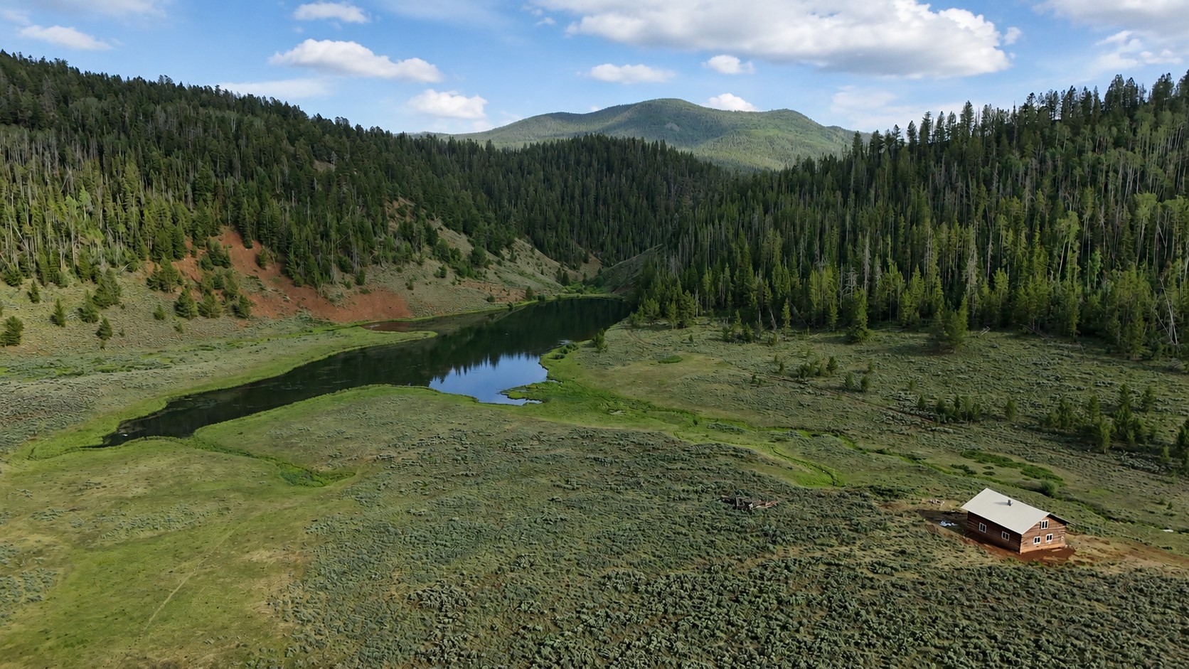 Tbd County Road 225 Toponas CO 80479