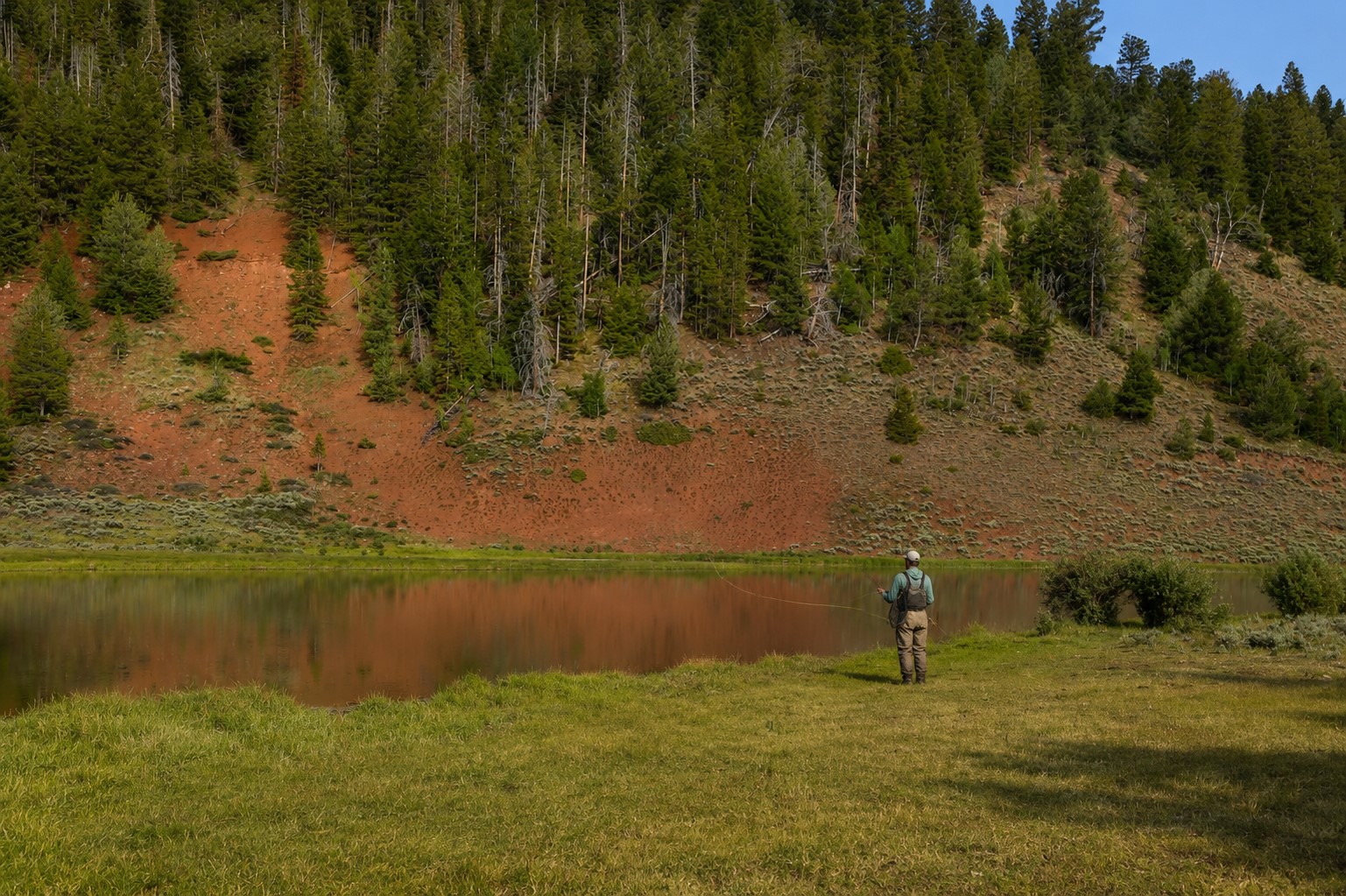 Tbd County Road 225 Toponas CO 80479