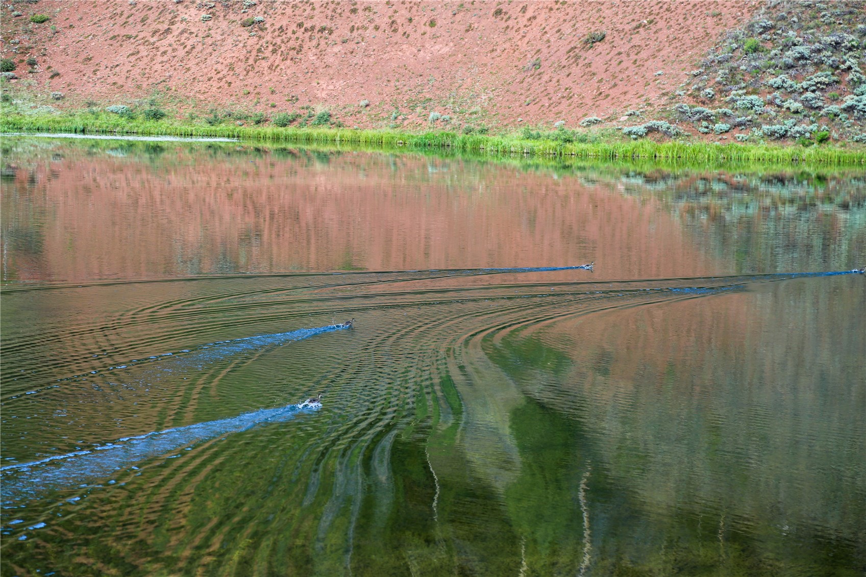 Tbd County Road 225 Toponas CO 80479